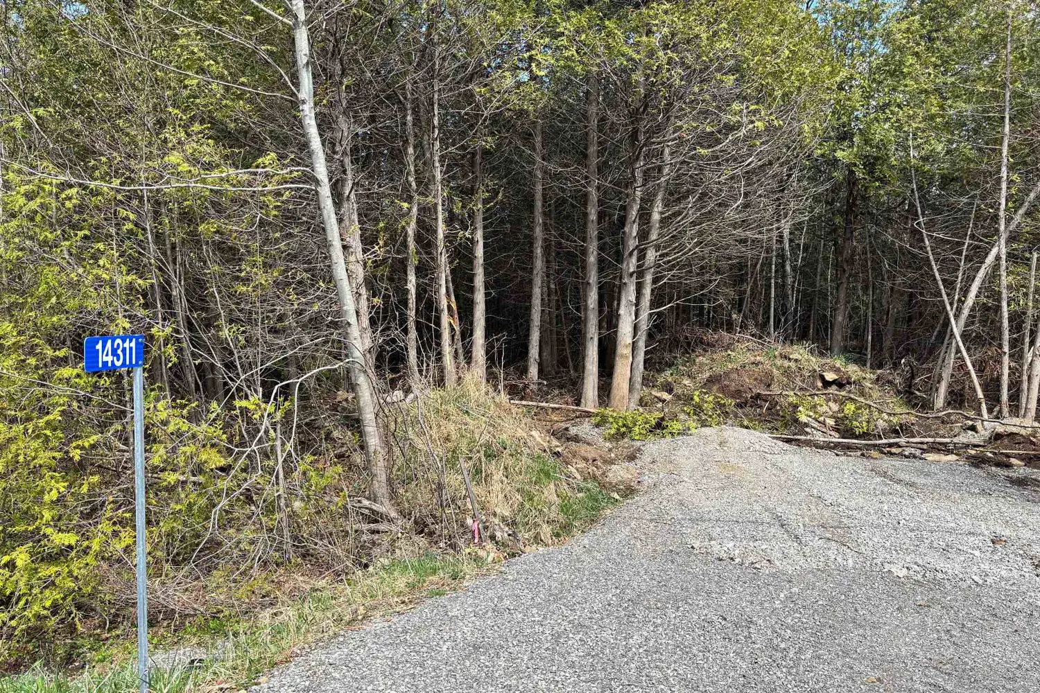 14311 County 15 Road photo 2