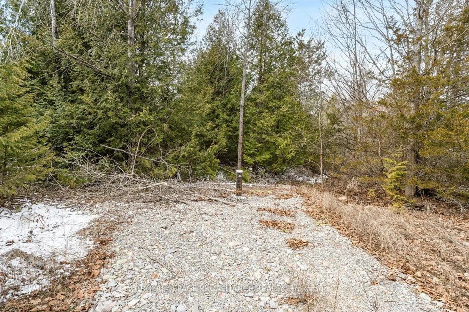 817 Carson Road photo 4