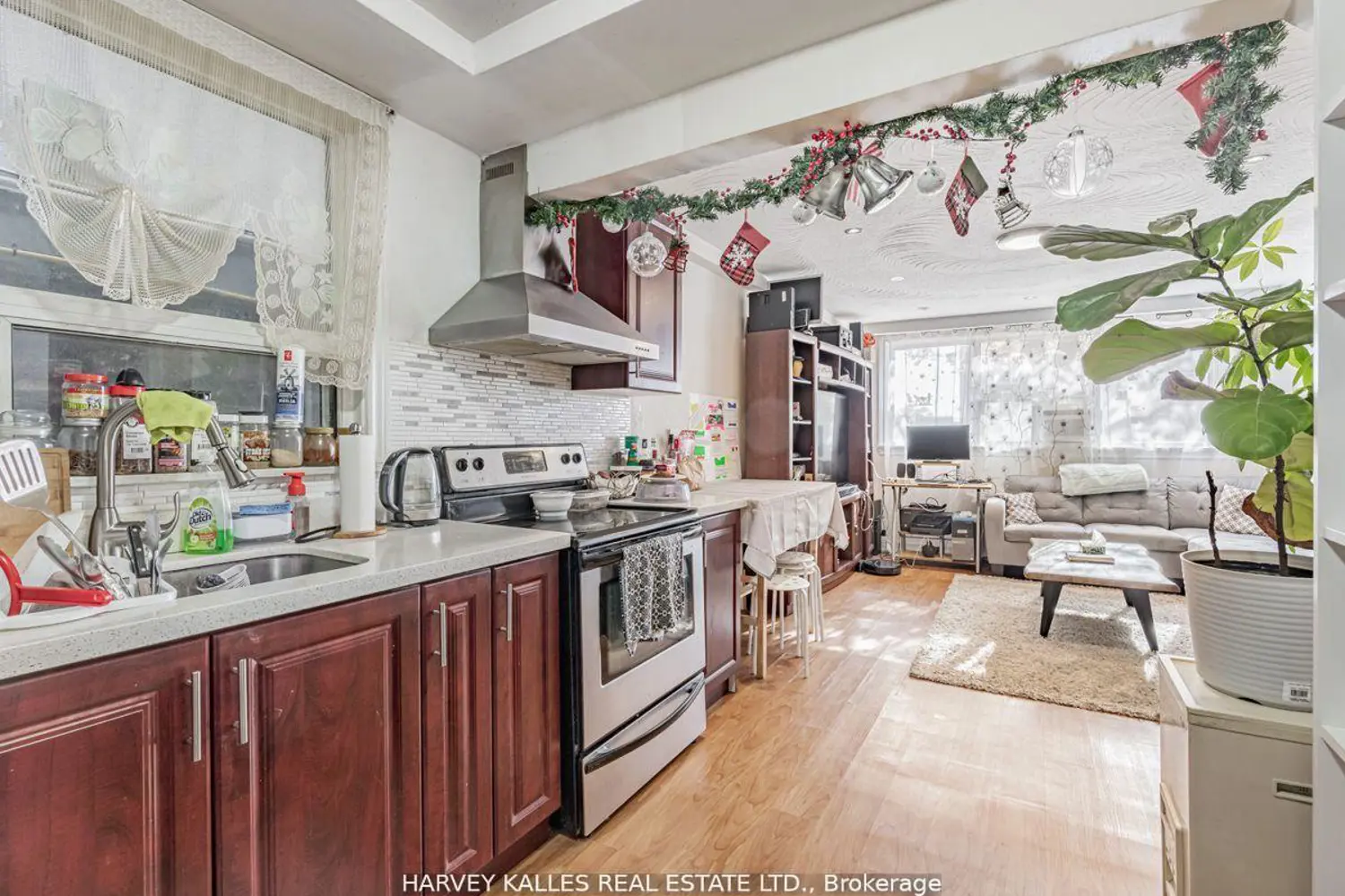 6 Carrington Avenue photo 4