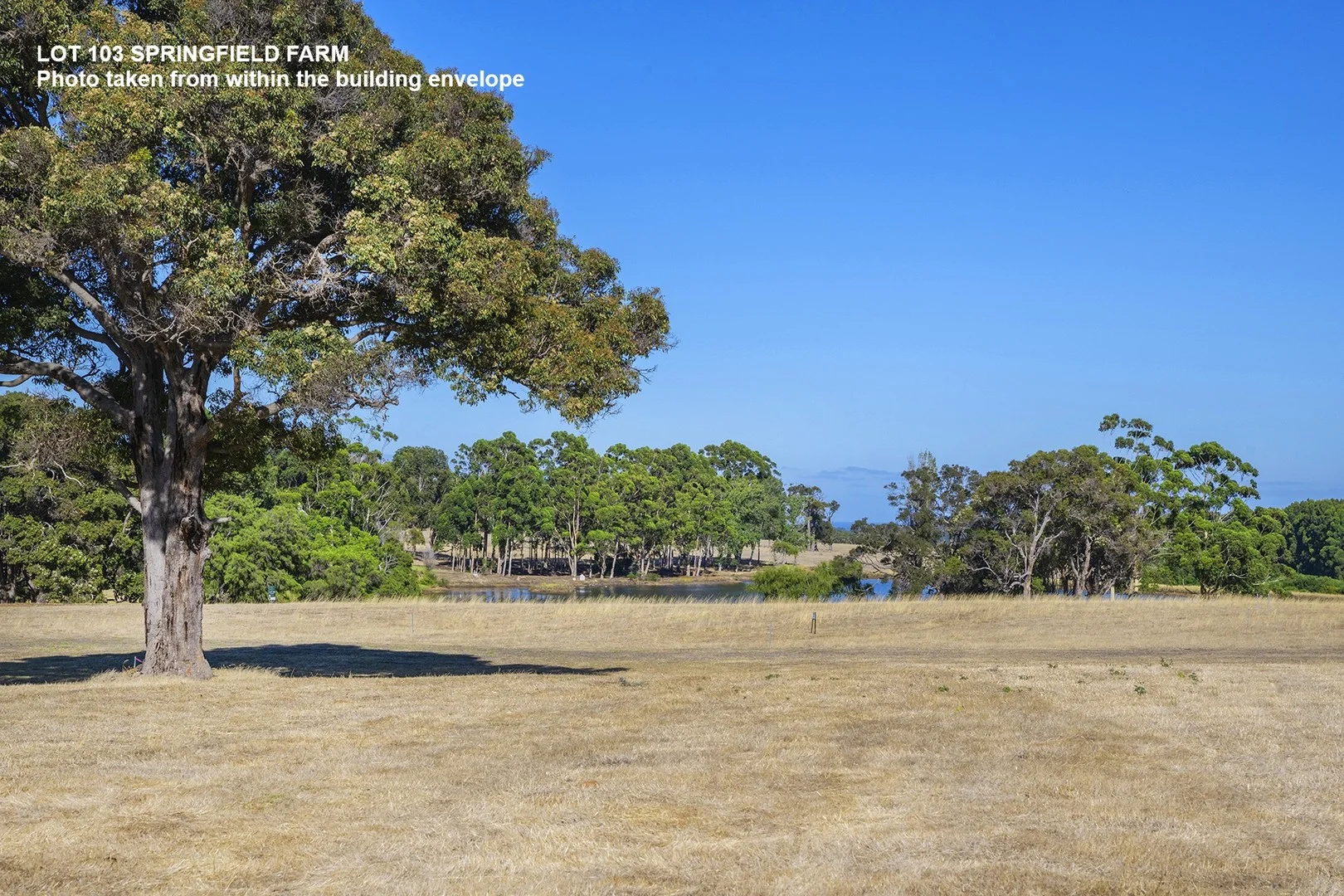 Additional image 4 of Lot 103 Springfield Farm, Yallingup WA 6282