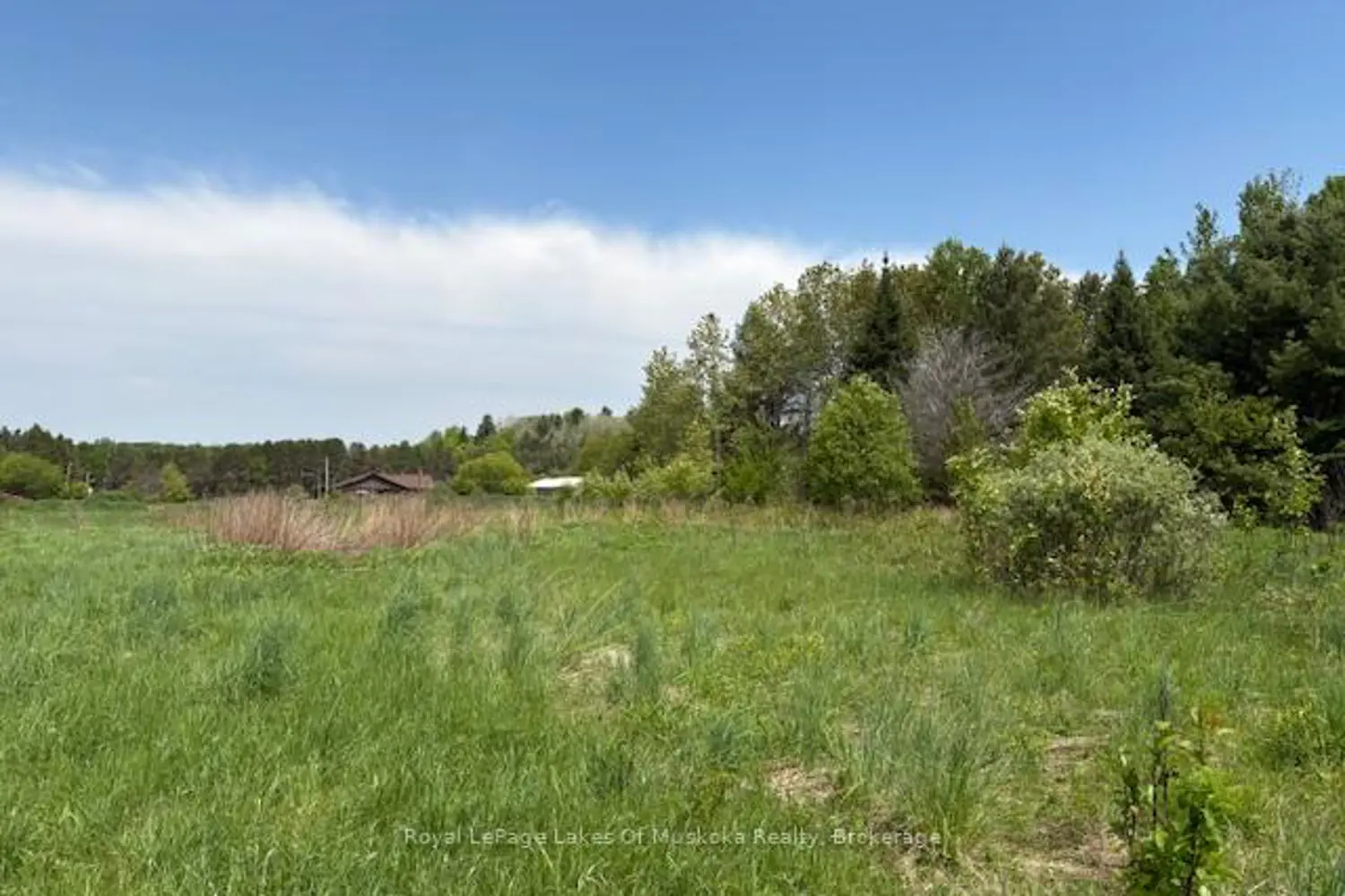 Additional image 14 of 351 Ravenscliffe Road