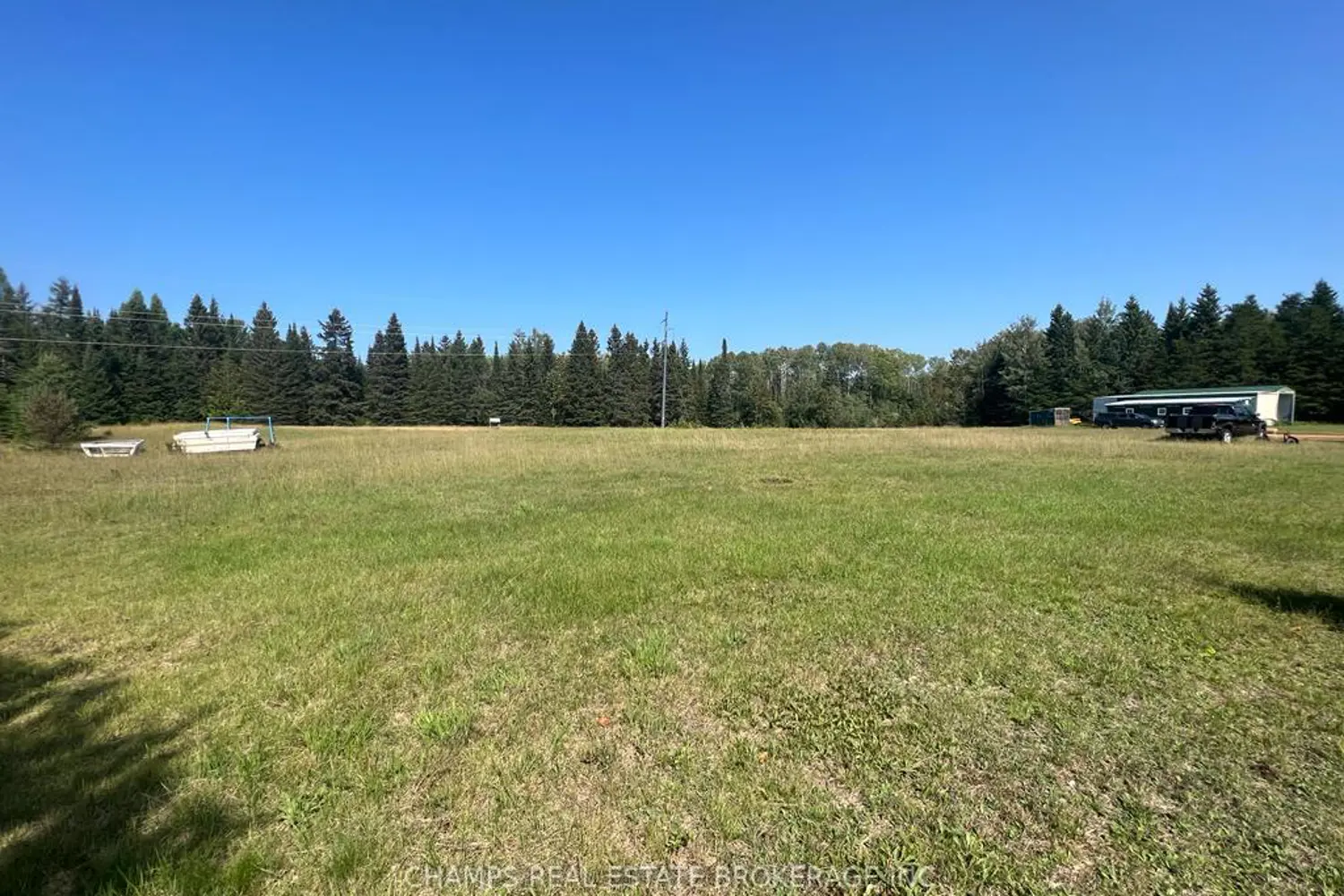 2528 Dawson Road photo 3