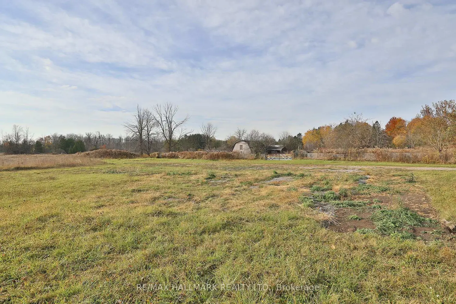 4805 19Th Avenue photo 3