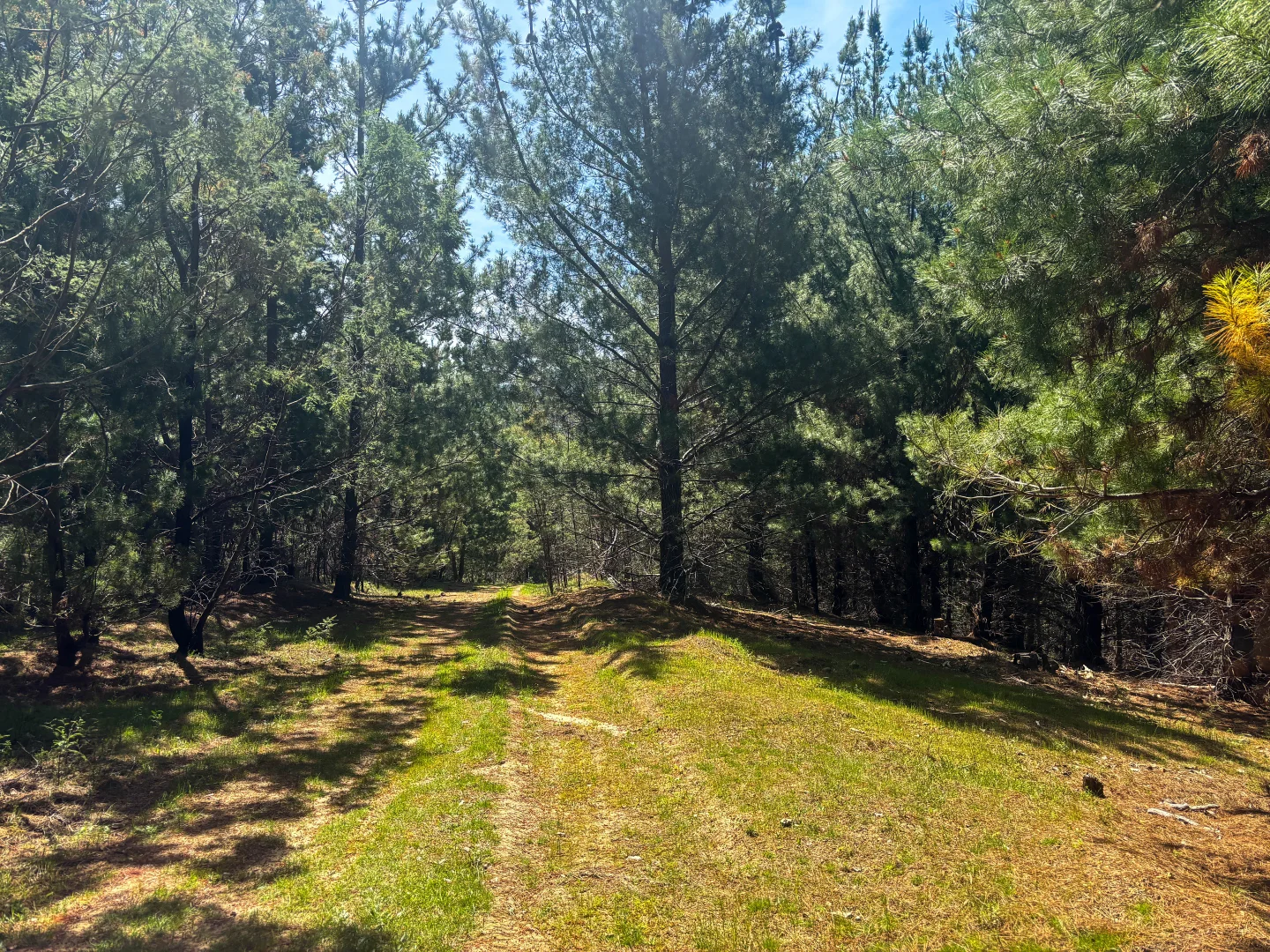 Additional image 8 of 259 Hells Hole Creek Road, Bonnie Doon VIC 3720