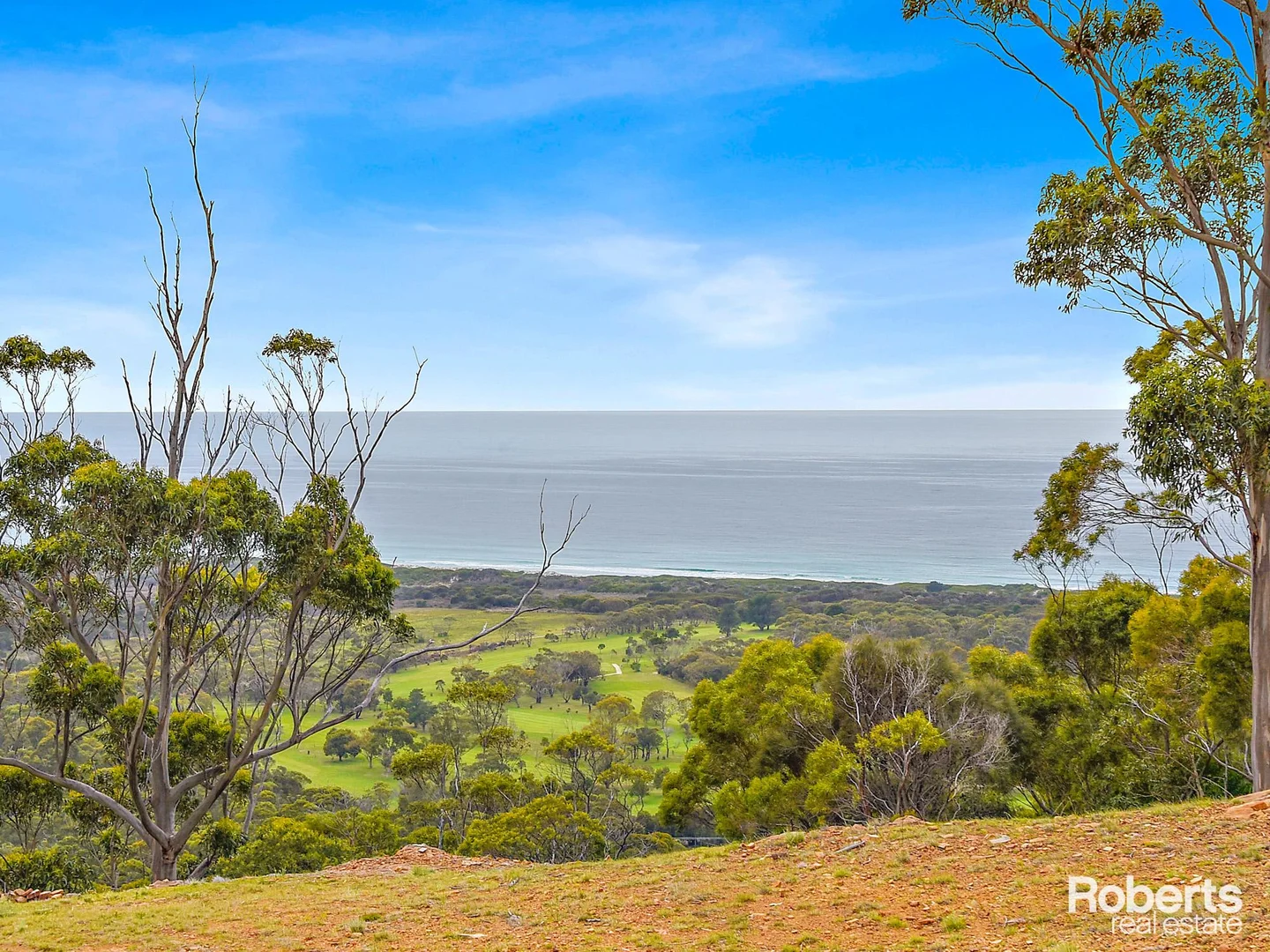 Additional image 5 of 99 Rosedale Road, Bicheno TAS 7215