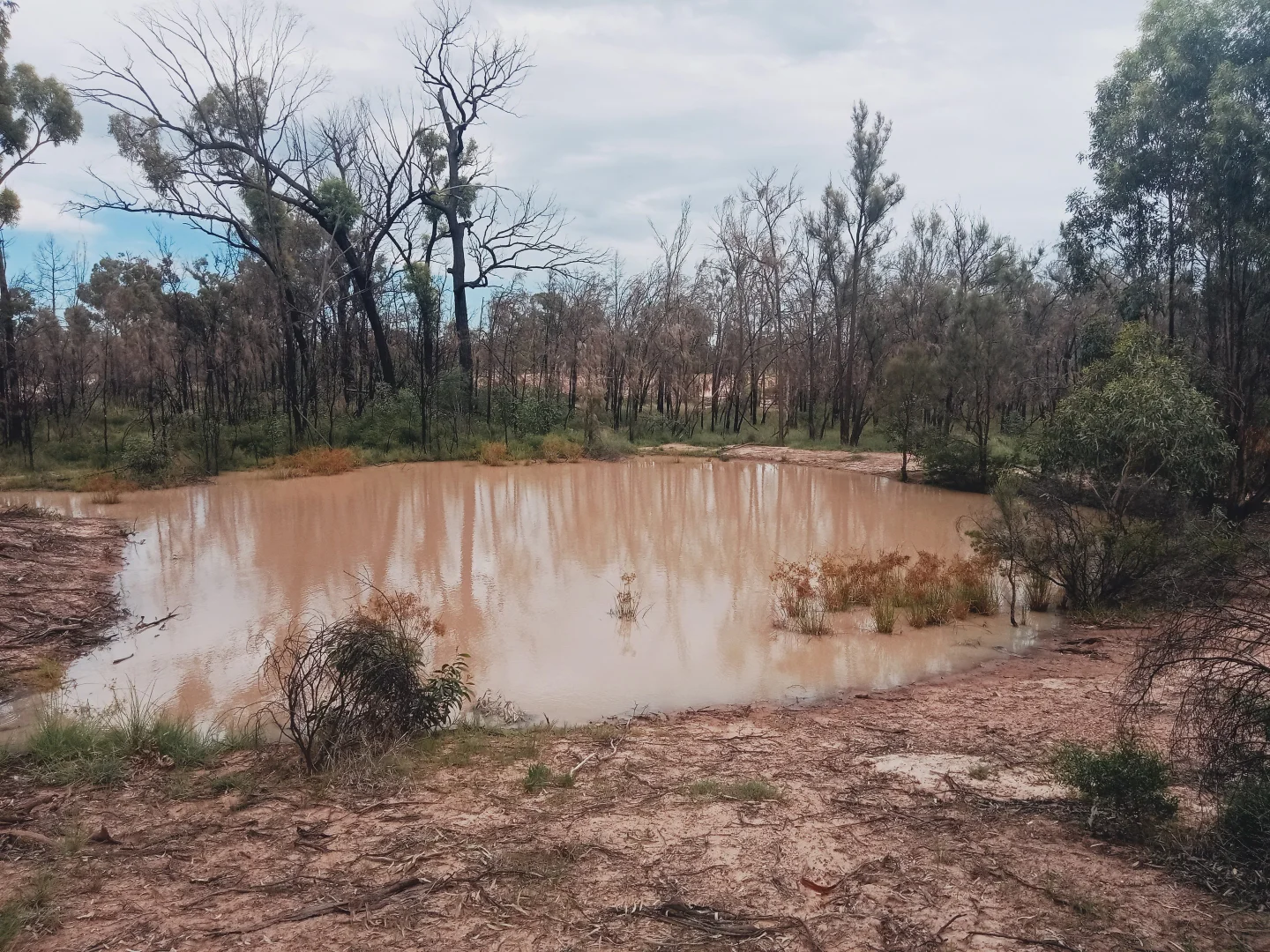 Additional image 9 of Lot 3 Josephs Road, Tara QLD 4421