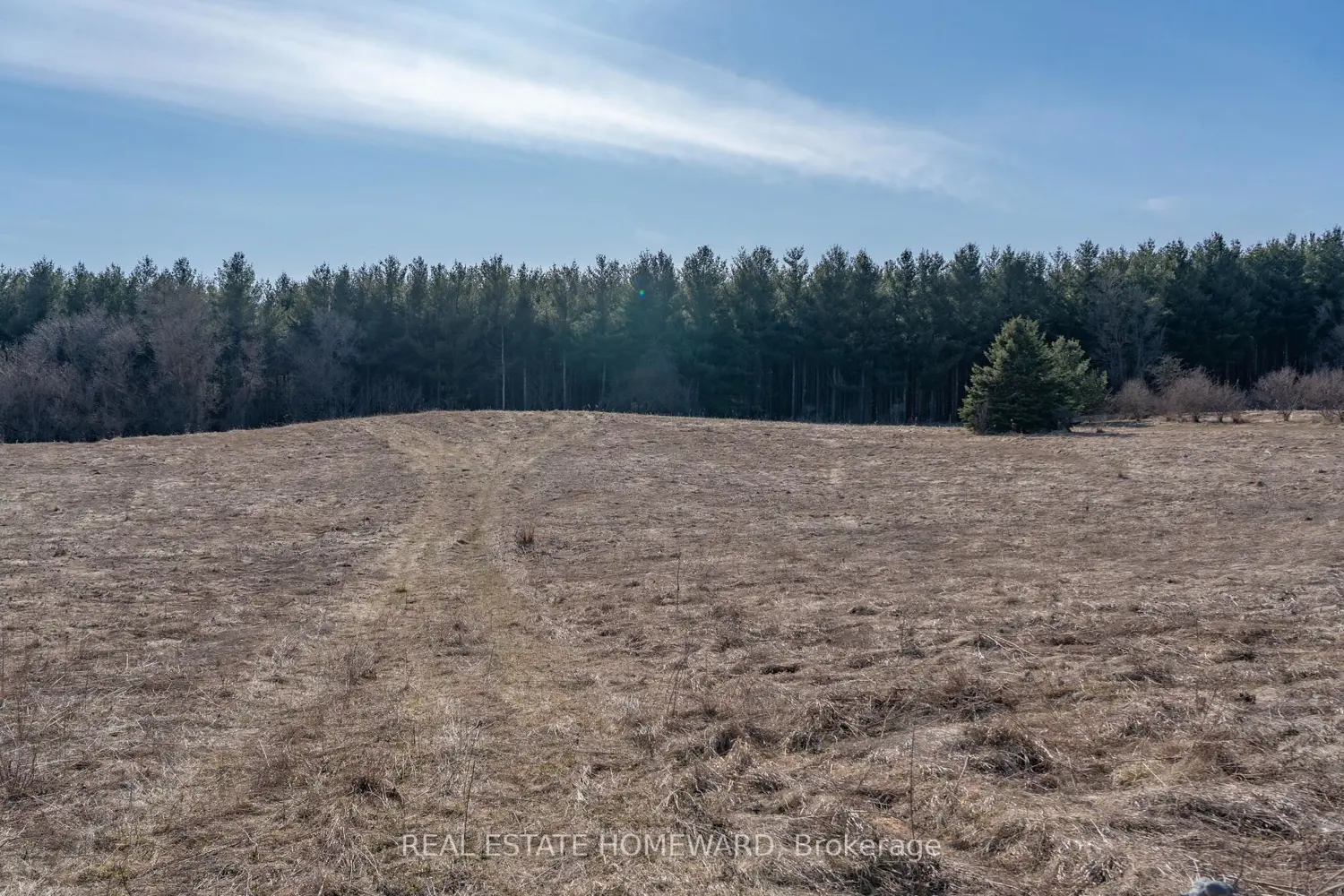 1430 County Rd 50 photo 3