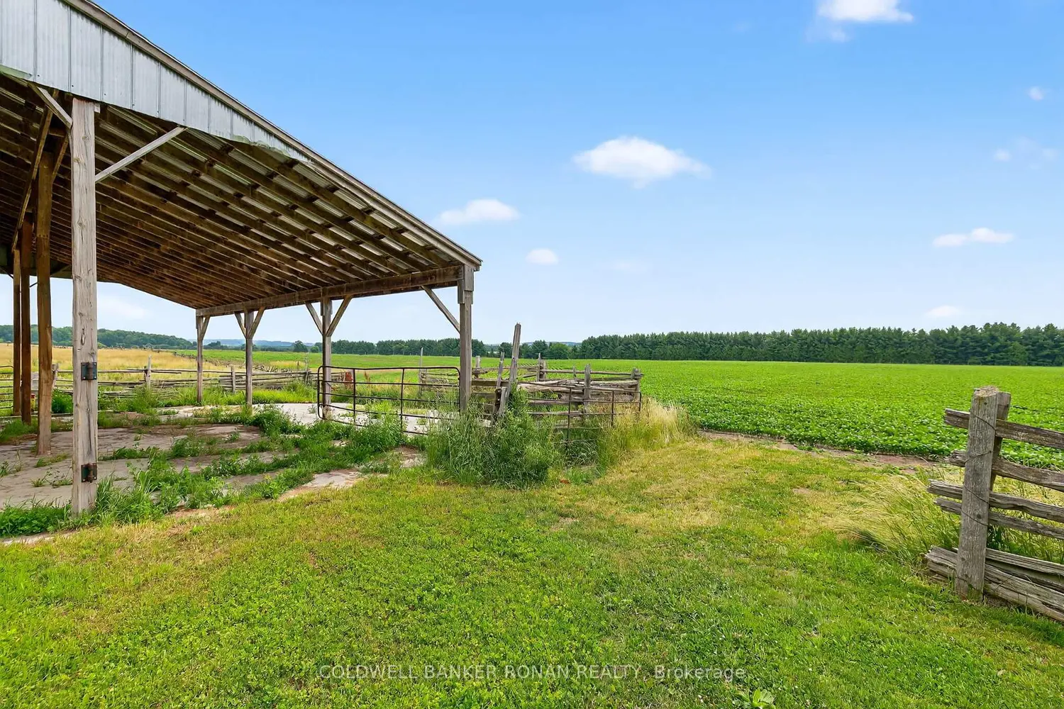 Additional image 13 of 2577 Adjala Tecumseth Townline