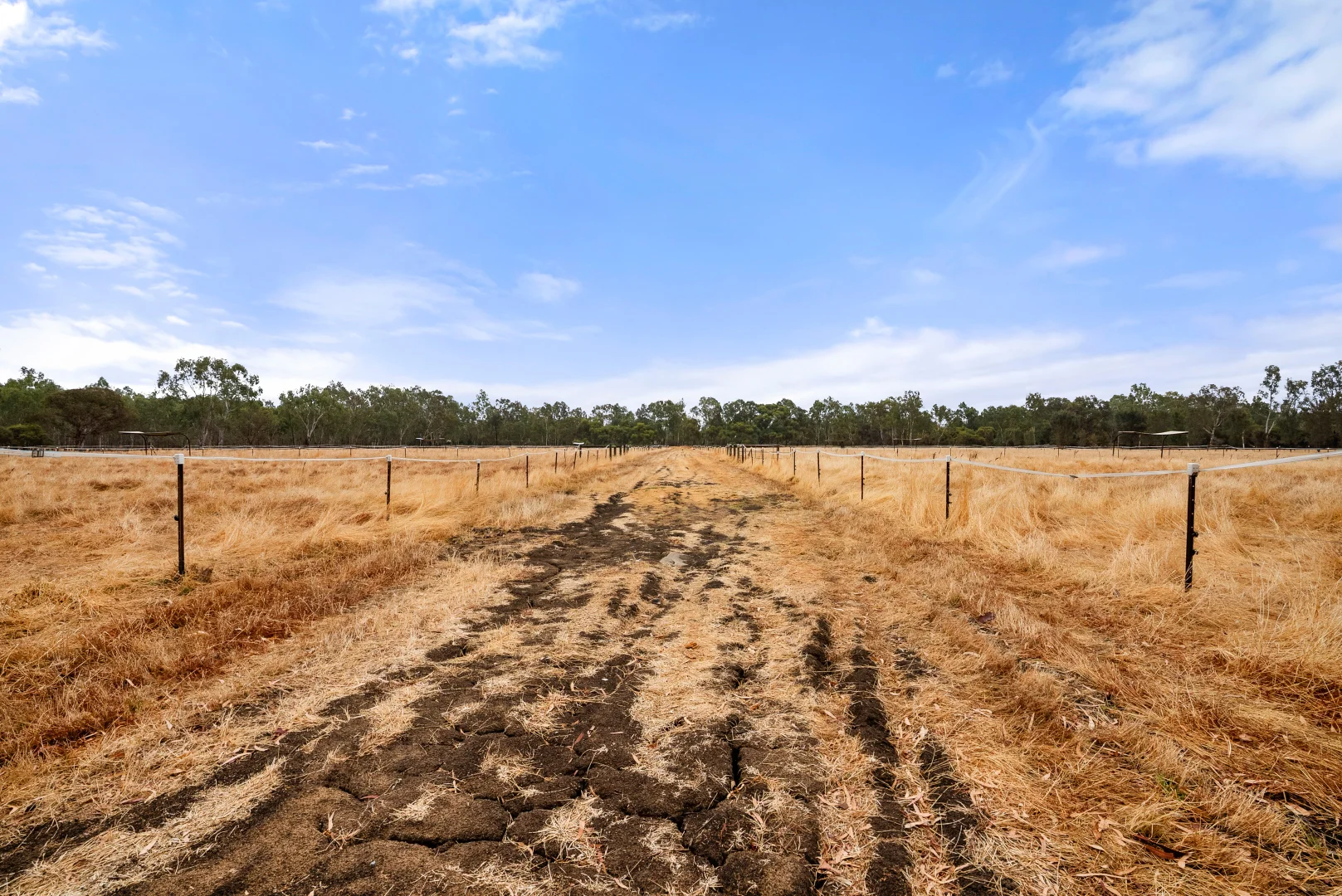 Additional image 45 of 237 Young Road, Baldivis WA 6171