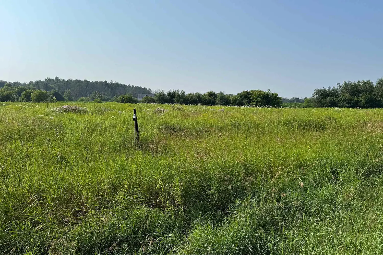 Additional image 3 of Lot South Branch Road