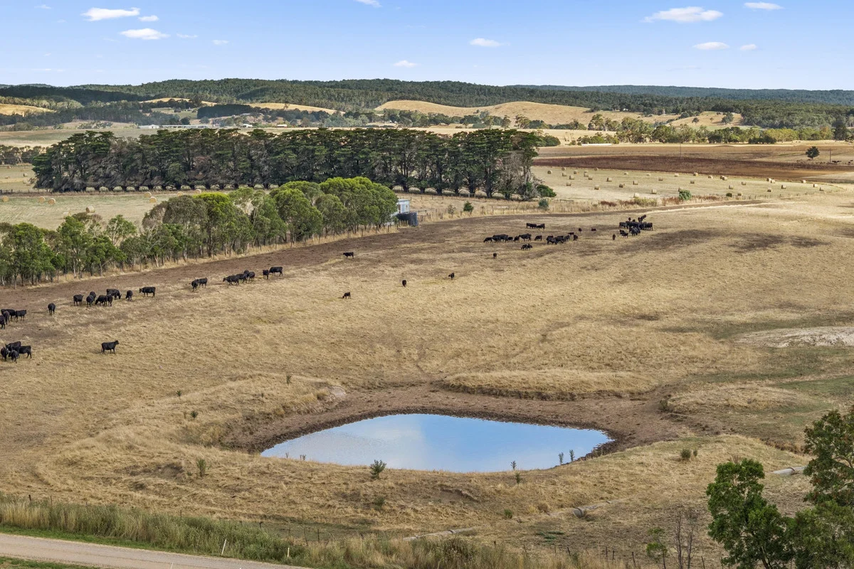 Additional image 13 of 55 Wineshanty Road, Barwon Downs VIC 3243
