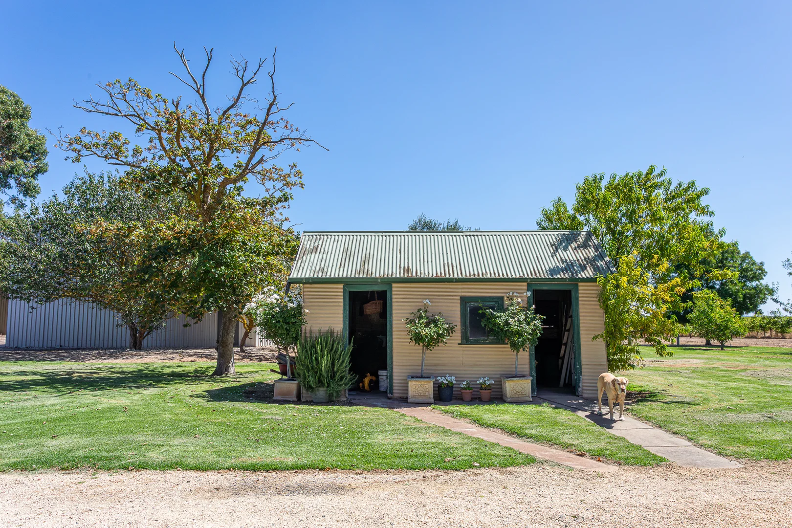 Additional image 20 of 322 Giles Road, Coonawarra SA 5263
