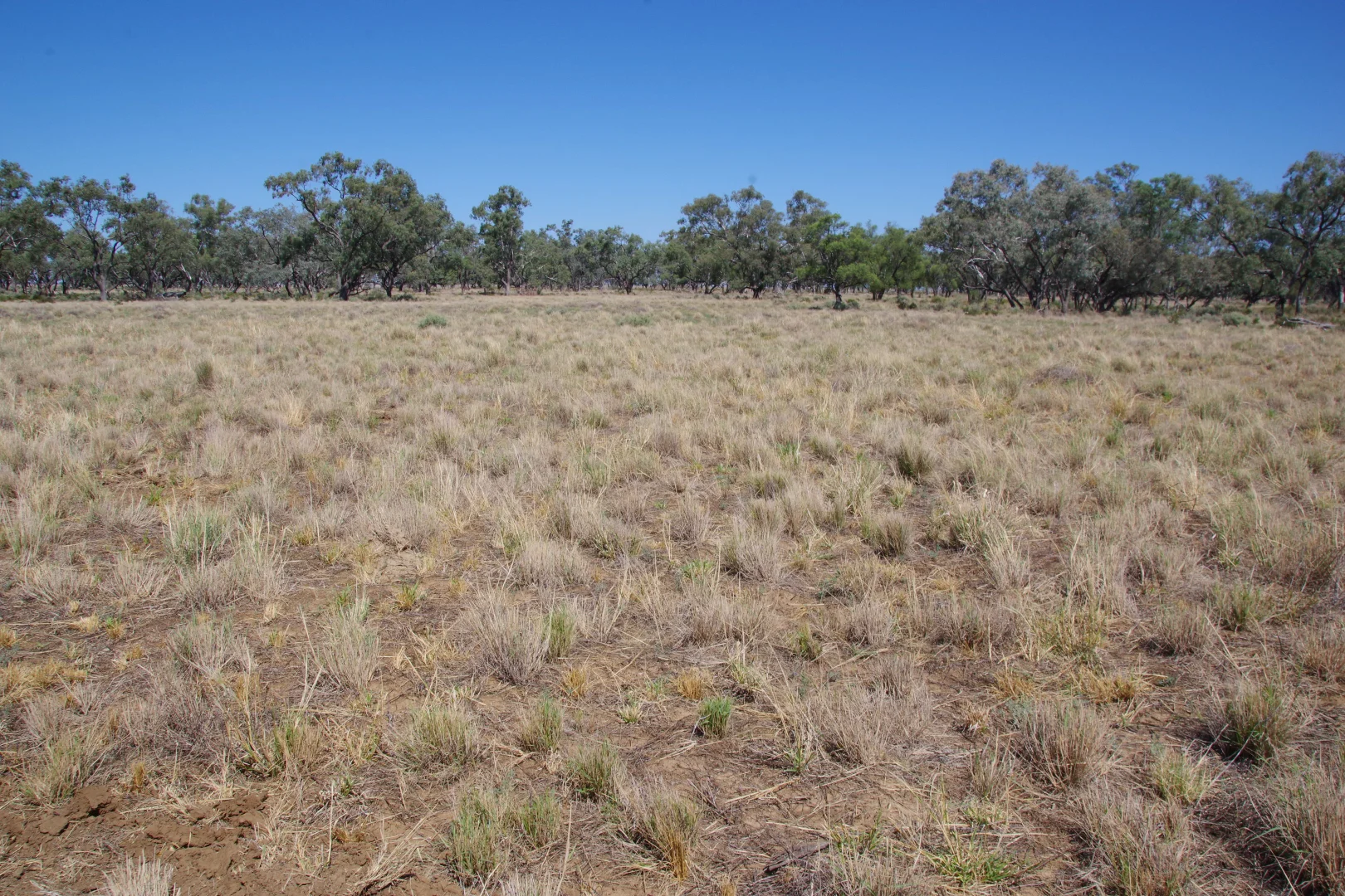 Additional image 19 of . Sunnyside Lane, Wee Waa NSW 2388