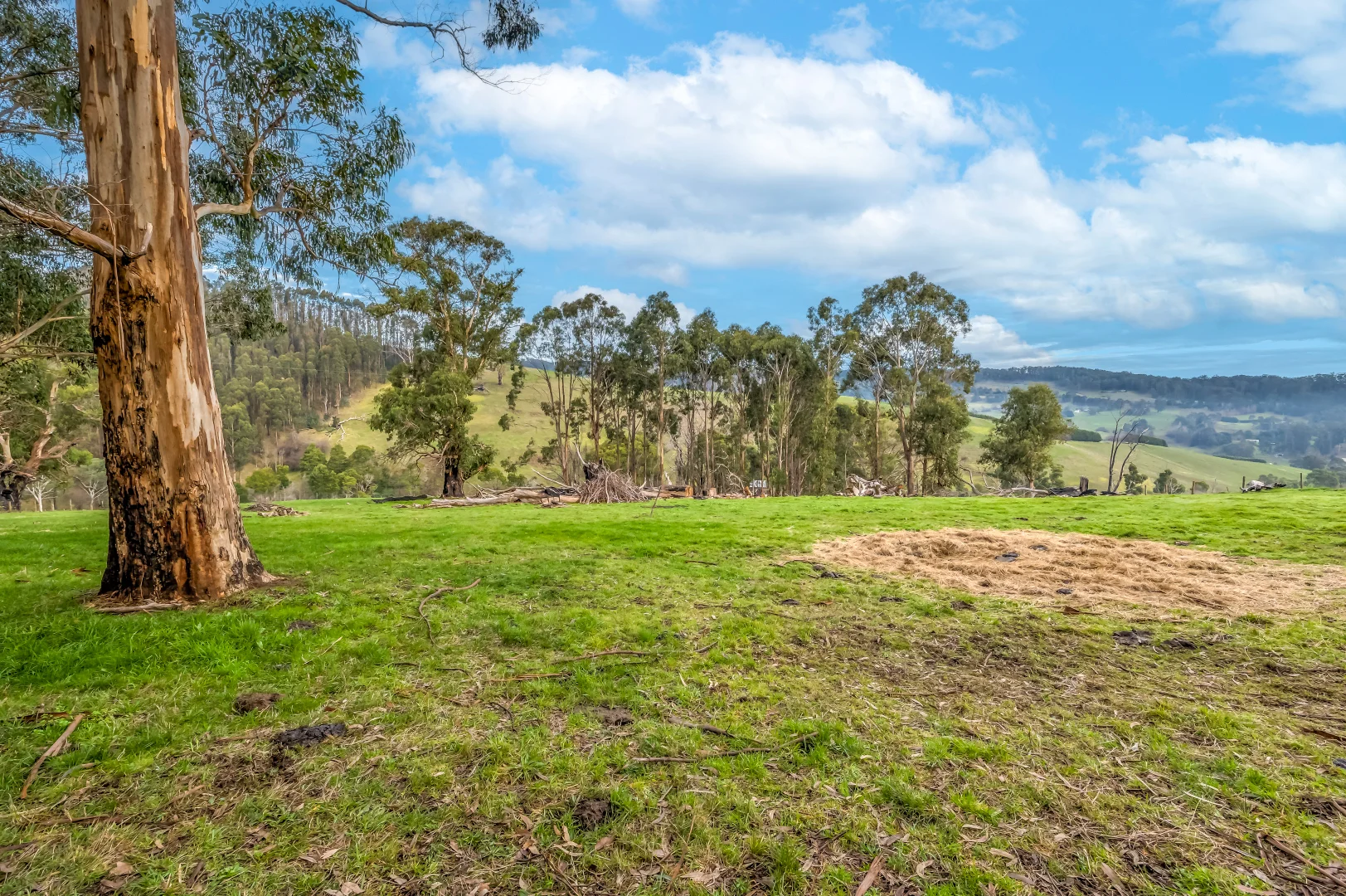 Additional image 6 of 114 Healeys Road, Yinnar South VIC 3869