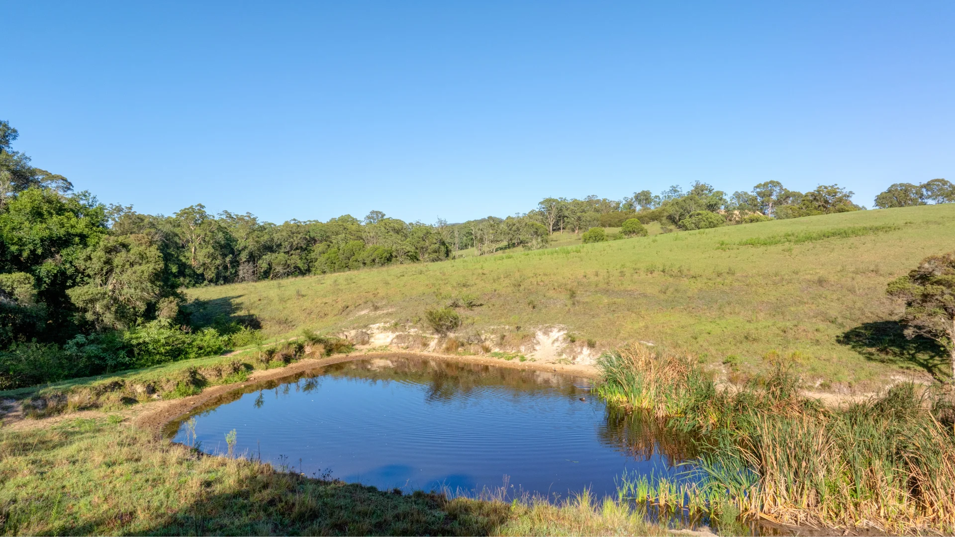 Additional image 18 of 2898 The Bucketts Way, Stroud NSW 2425