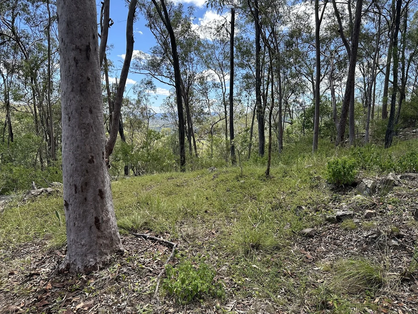 142 Highland Street, Esk QLD 4312