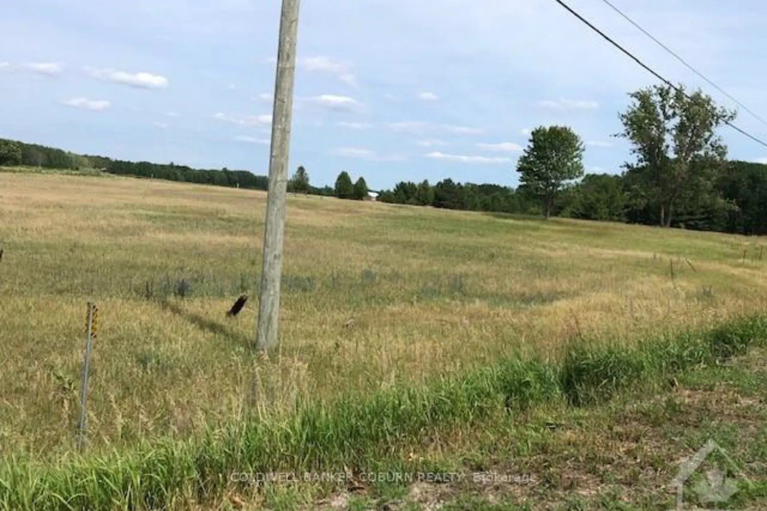 15758 17 Road photo 2