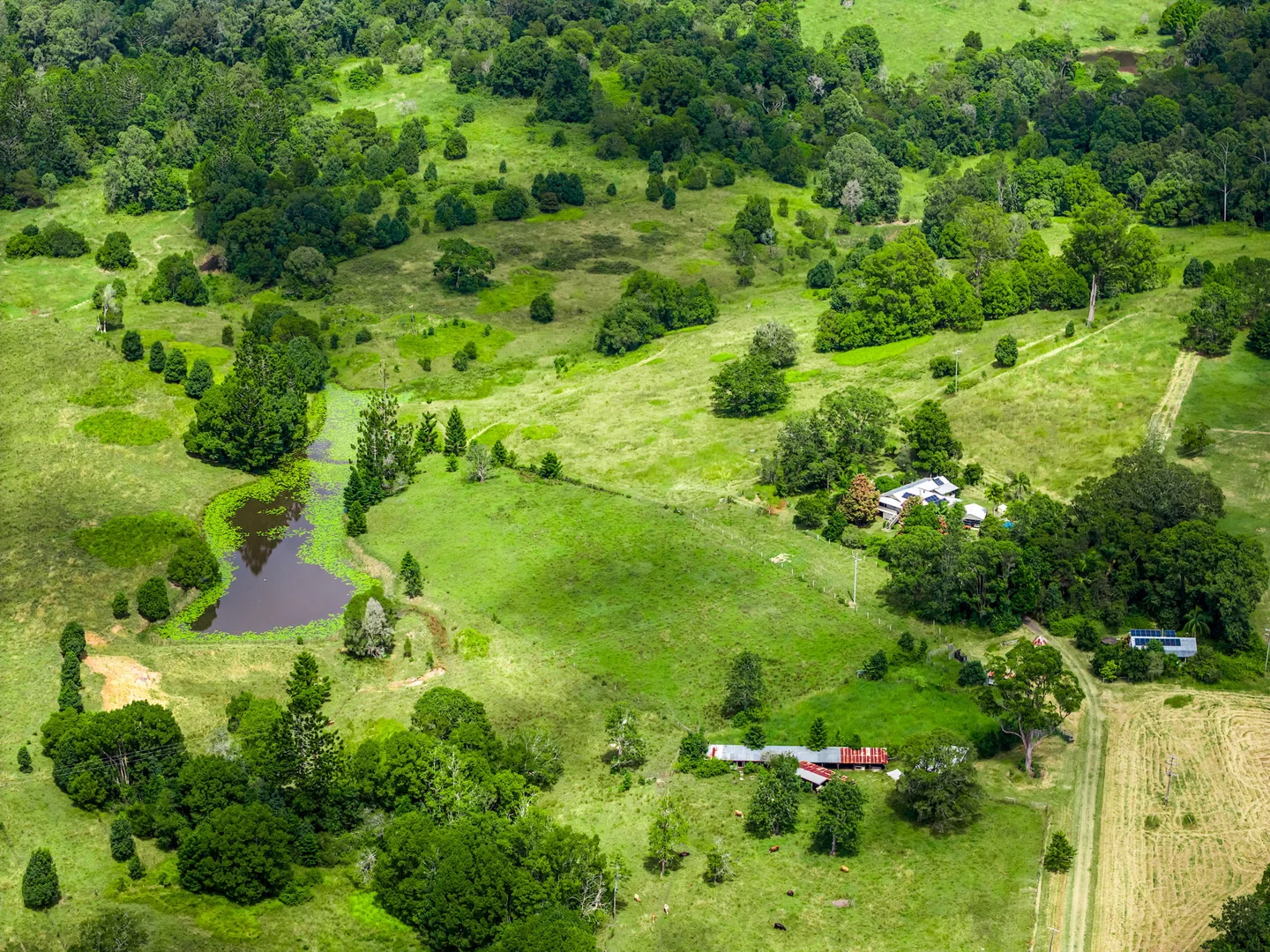 Additional image 35 of 219 Stony Chute Road, Nimbin NSW 2480