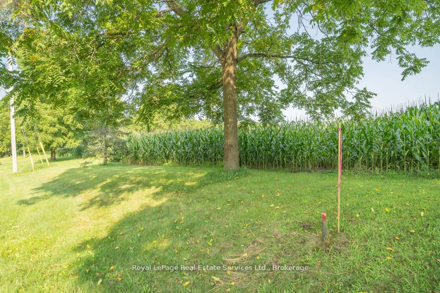 Additional image 12 of 361 Robinson Road