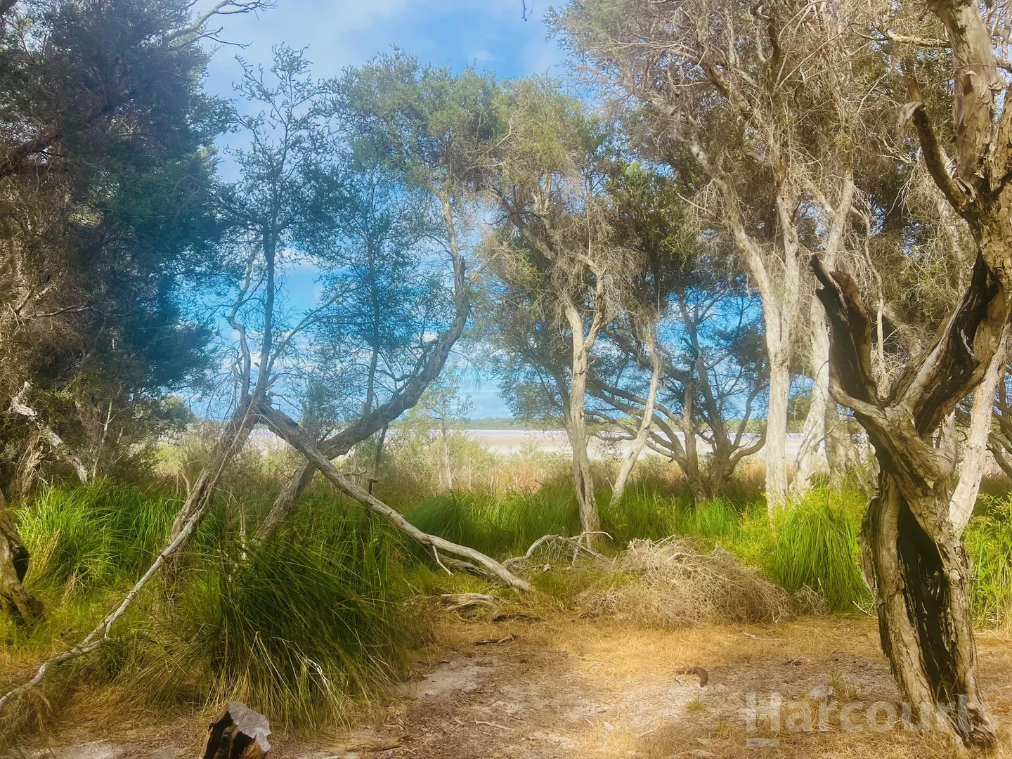 Additional image 13 of 74 Newnham Road, Lake Clifton WA 6215