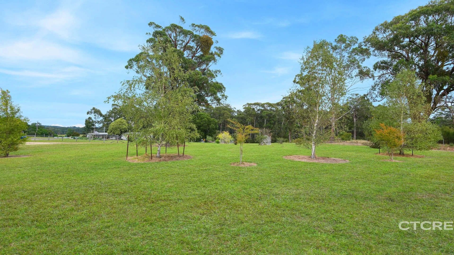 Additional image 10 of 177 Tamboon Road, Cann River VIC 3890