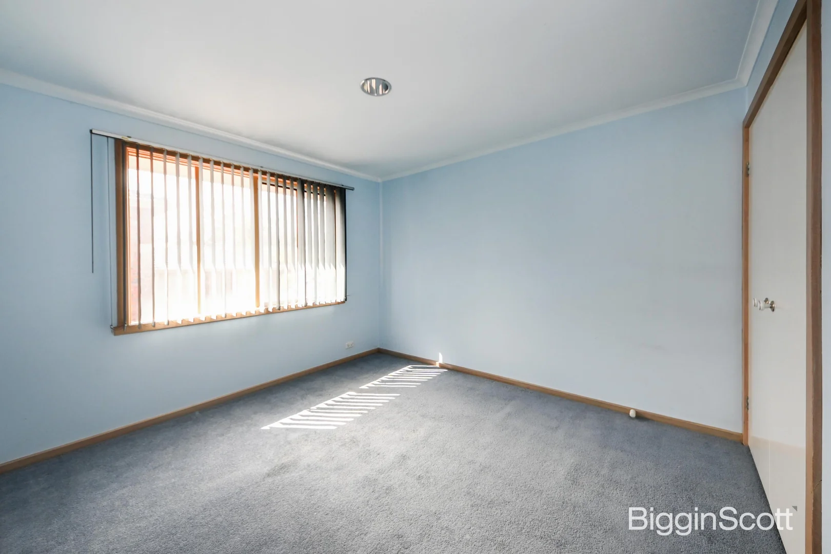 Additional image 11 of 8 Daryl Avenue, Glen Waverley VIC 3150