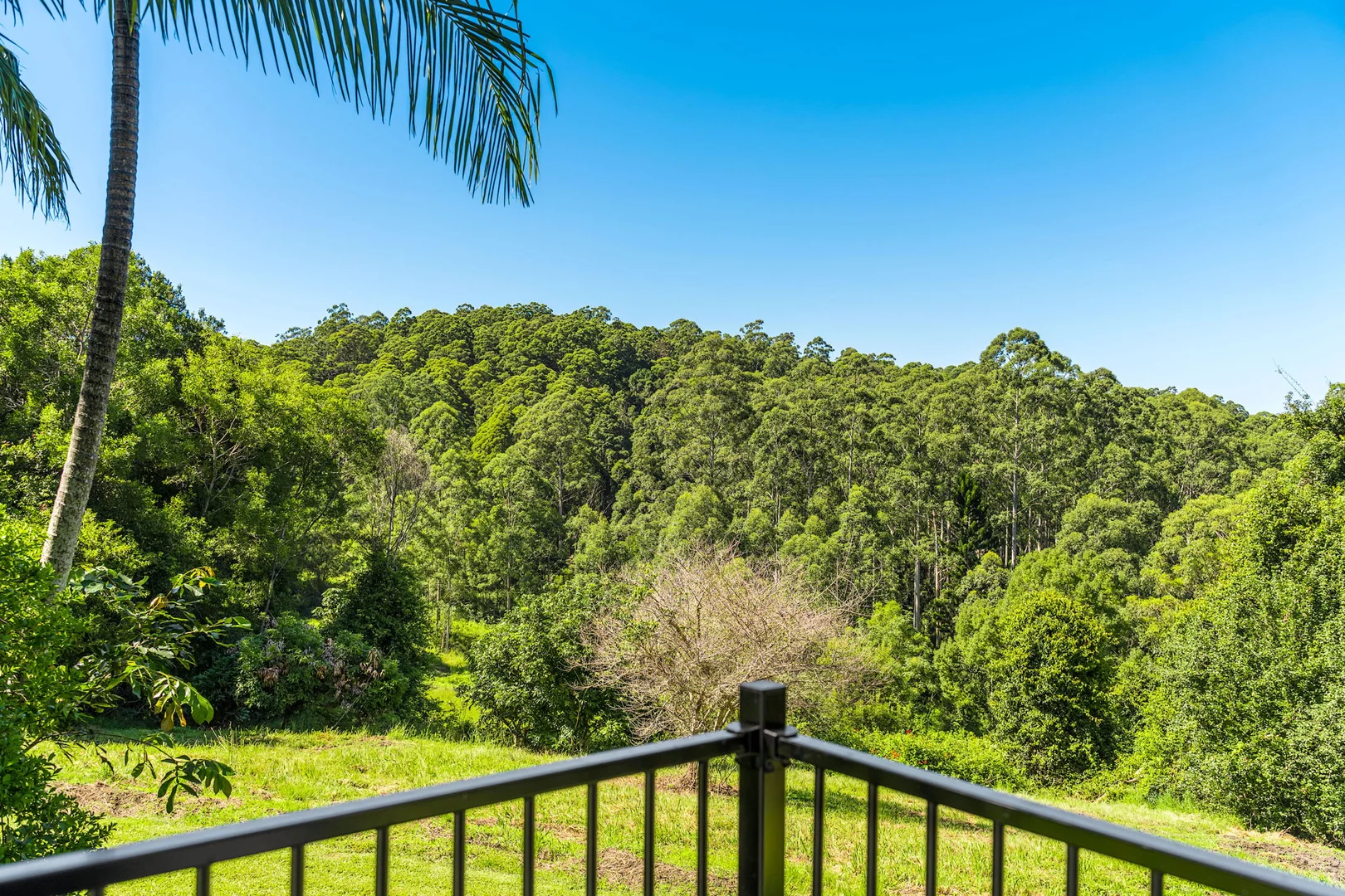 Additional image 22 of 61 Tallowood Road, Lillian Rock NSW 2480