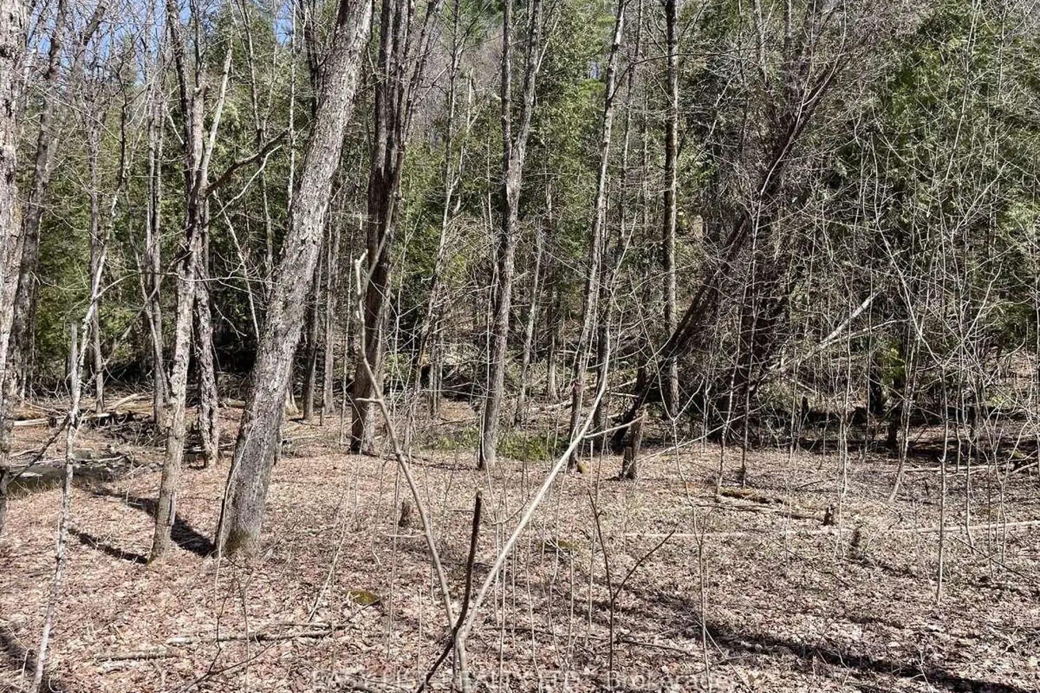 Additional image 8 of Lot 1 Colonial Road