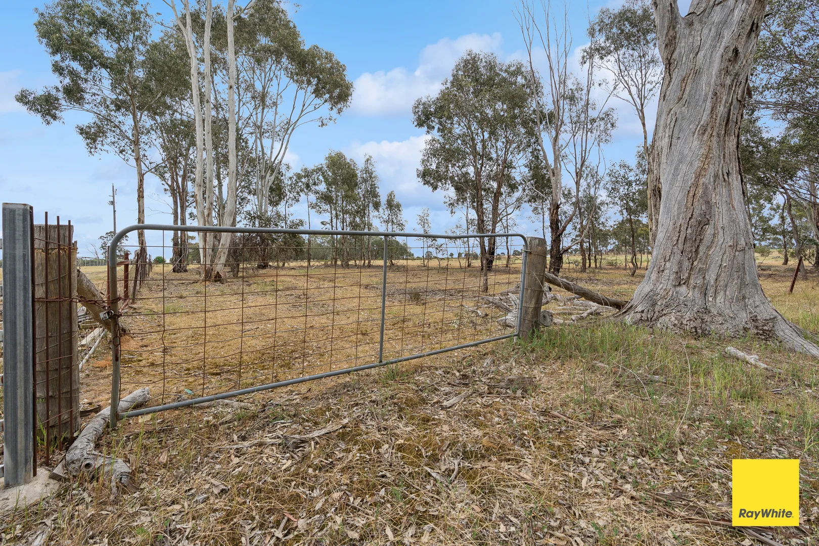 Additional image 5 of 251 Knowsley-Barnadown Road, Axedale VIC 3551