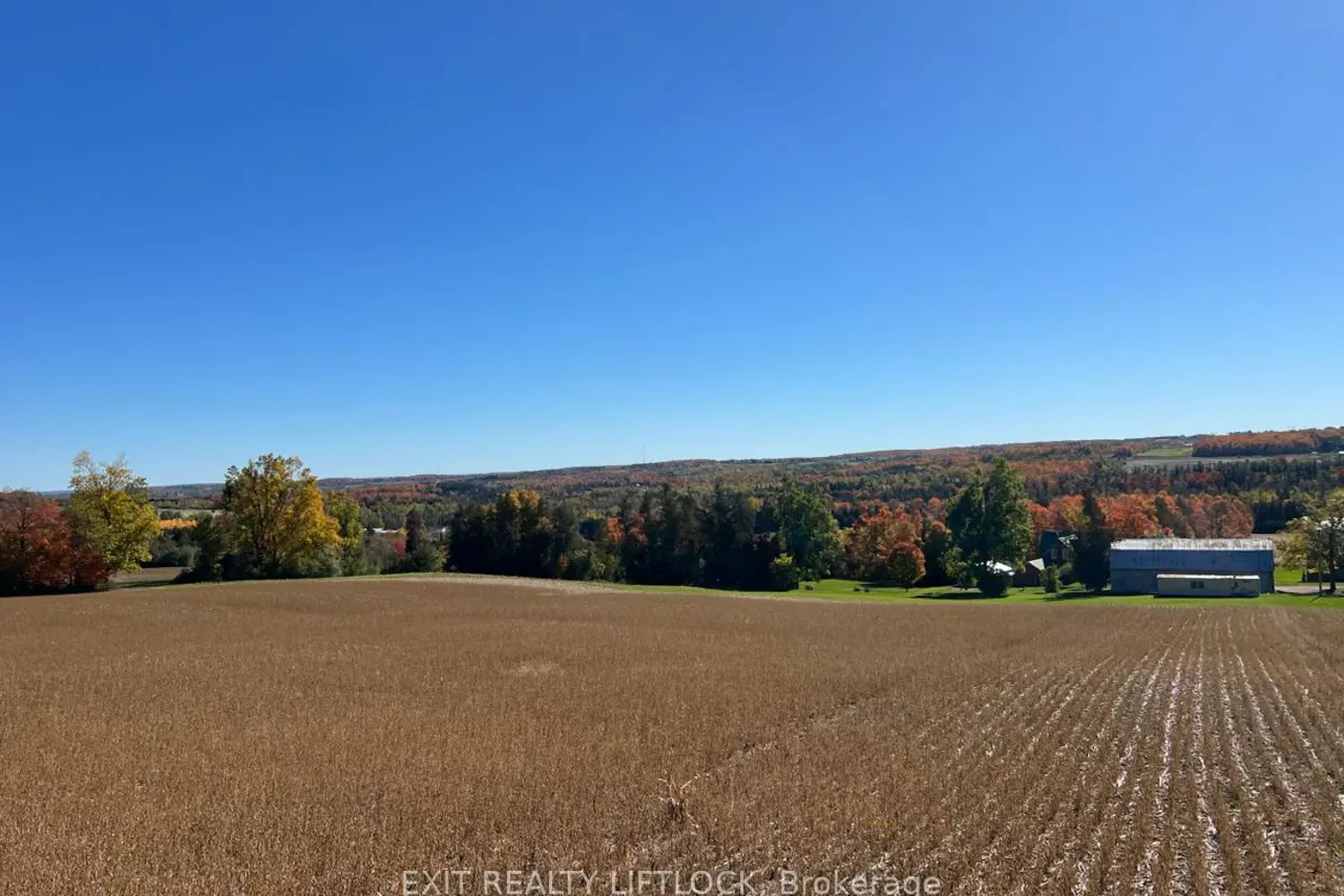 Additional image 13 of 404 Morton Line