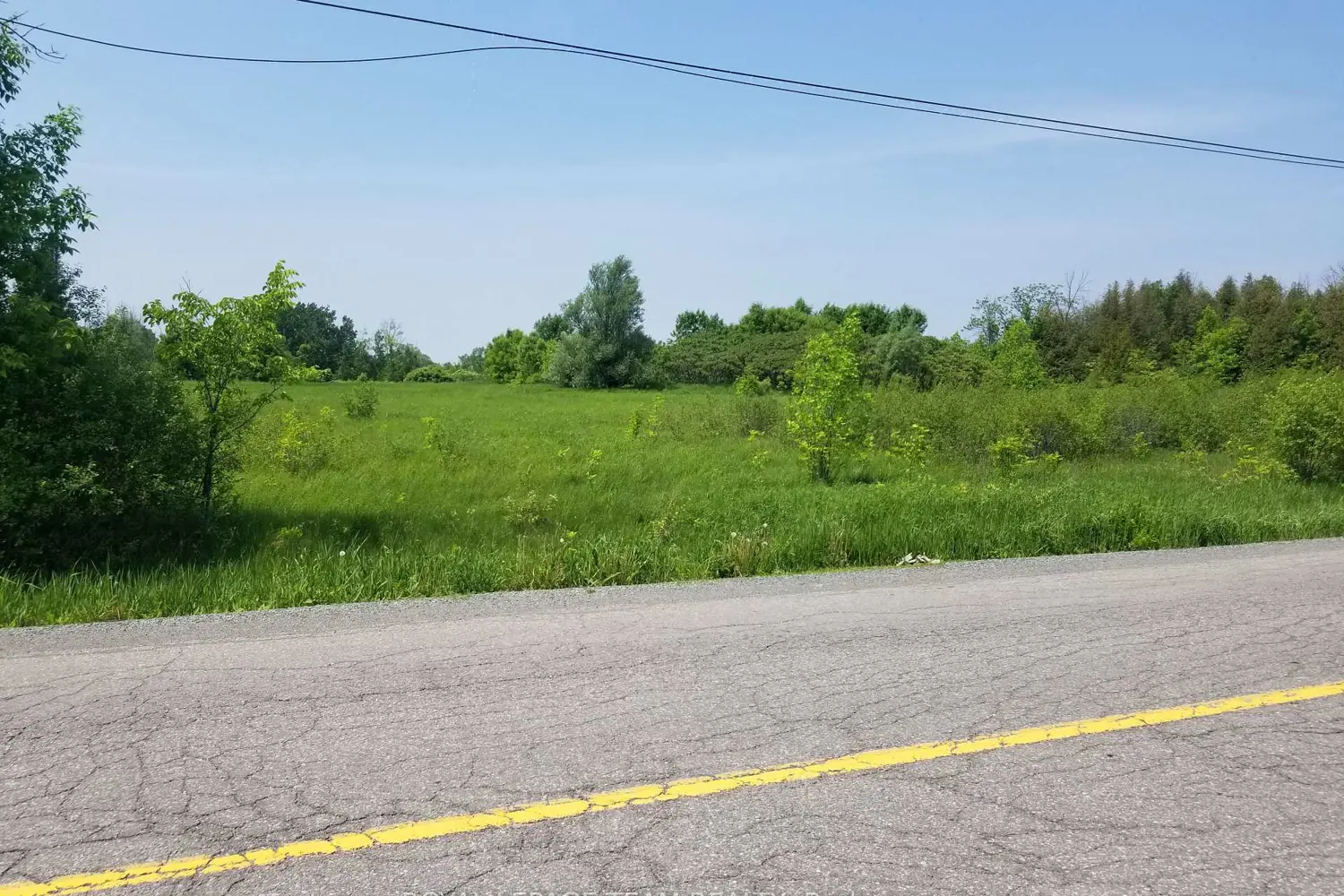 Additional image 3 of 0000 Scrivens Drive