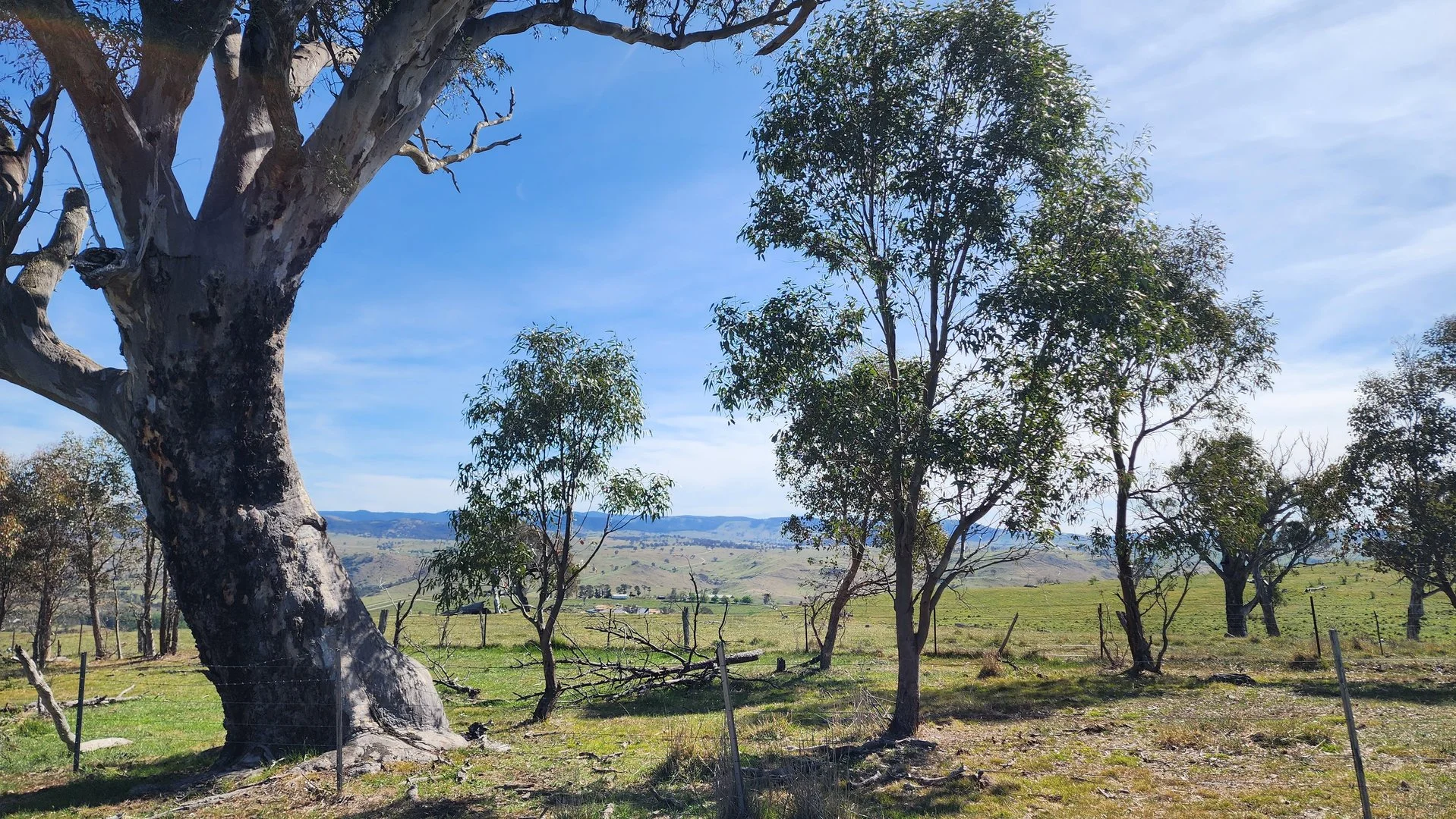 Additional image 30 of 143 Rochford Road, Wallaroo NSW 2618