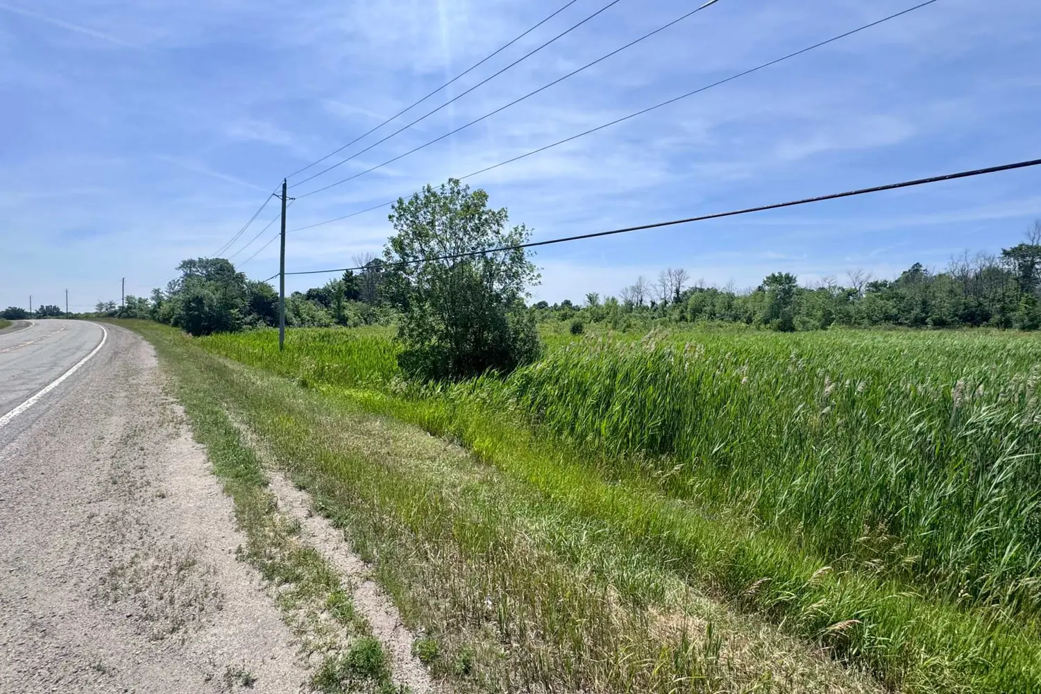 Additional image 9 of 00 County Road 8 Road