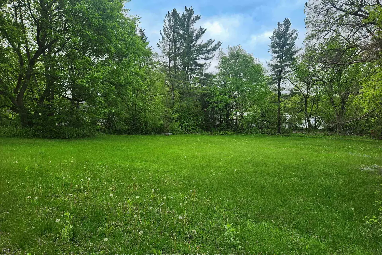 Additional image 10 of 3787 Carp Road