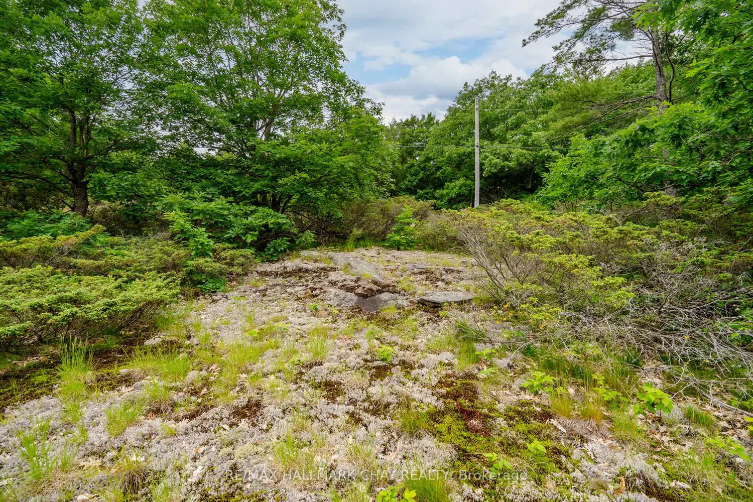 Additional image 14 of Lot 2 Delta Road
