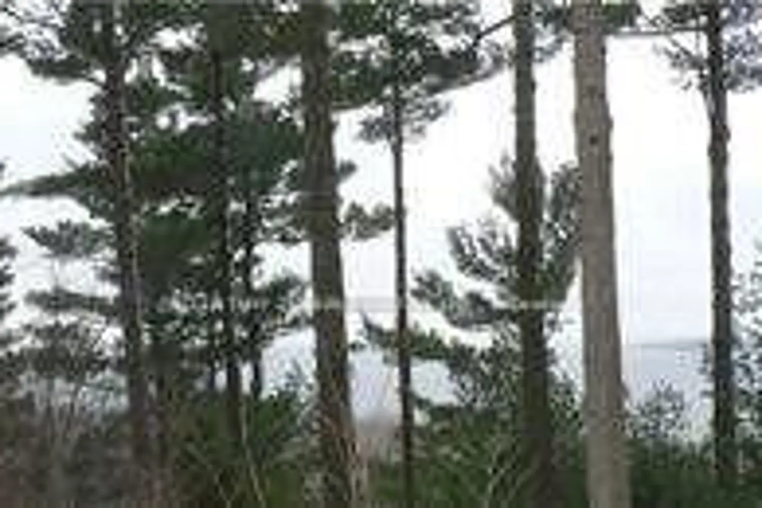 126 Nippissing Ridge Road photo 3