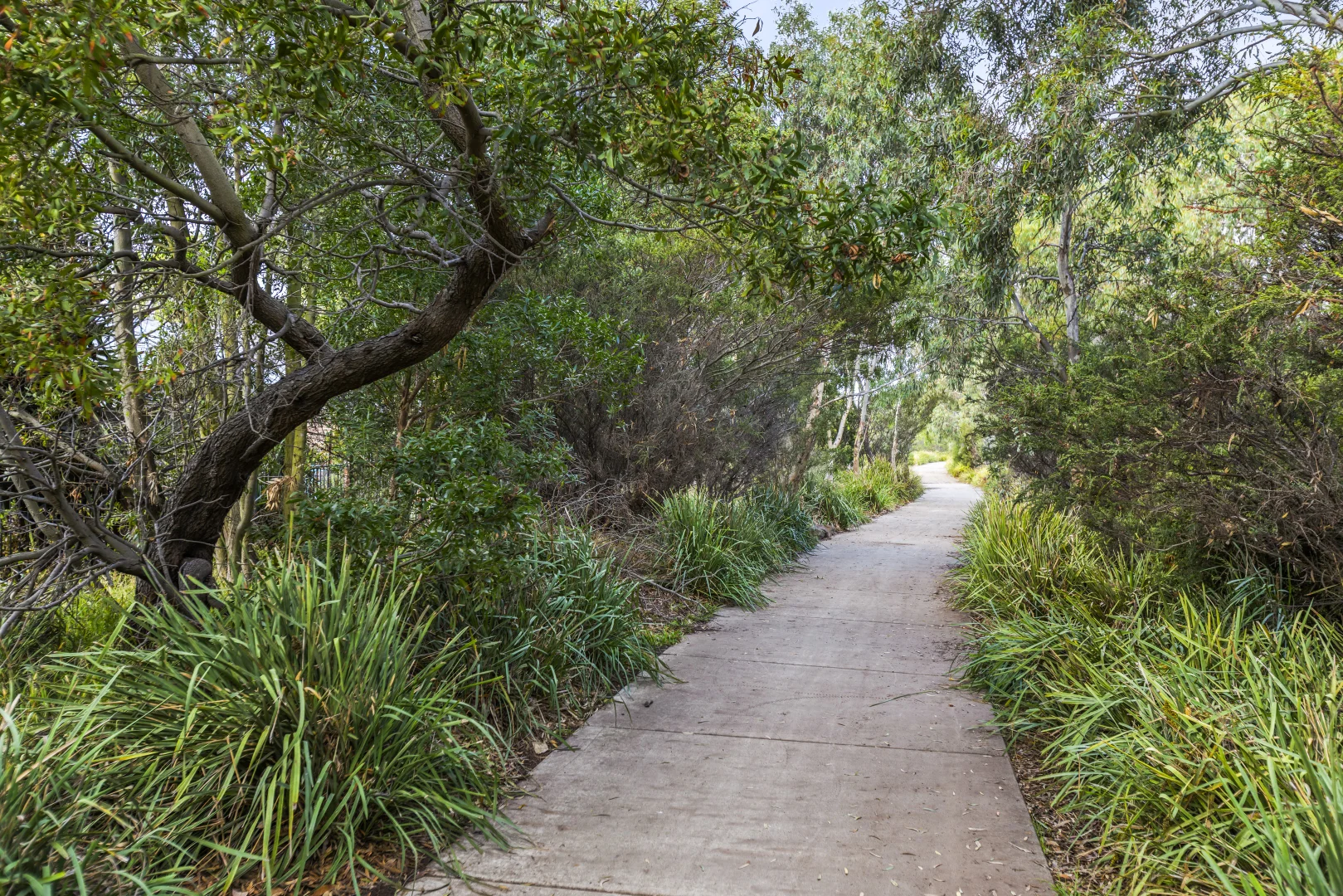 Additional image 18 of 11 Creekward Drive, Armstrong Creek VIC 3217