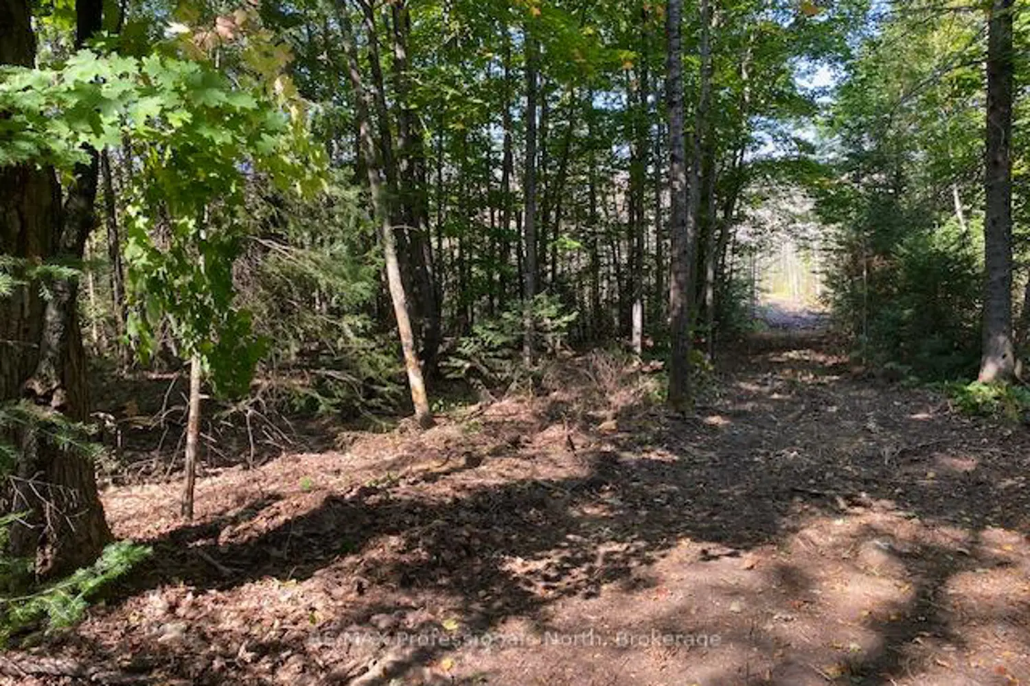 Additional image 2 of 14146 522