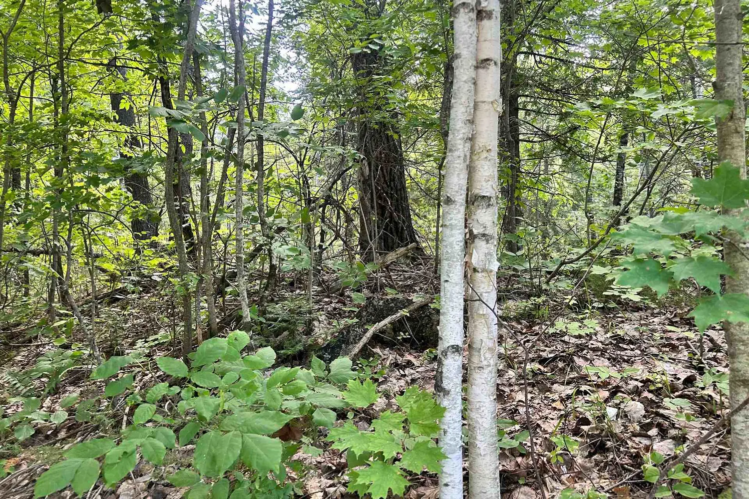 Additional image 3 of 0 Trebbien Road