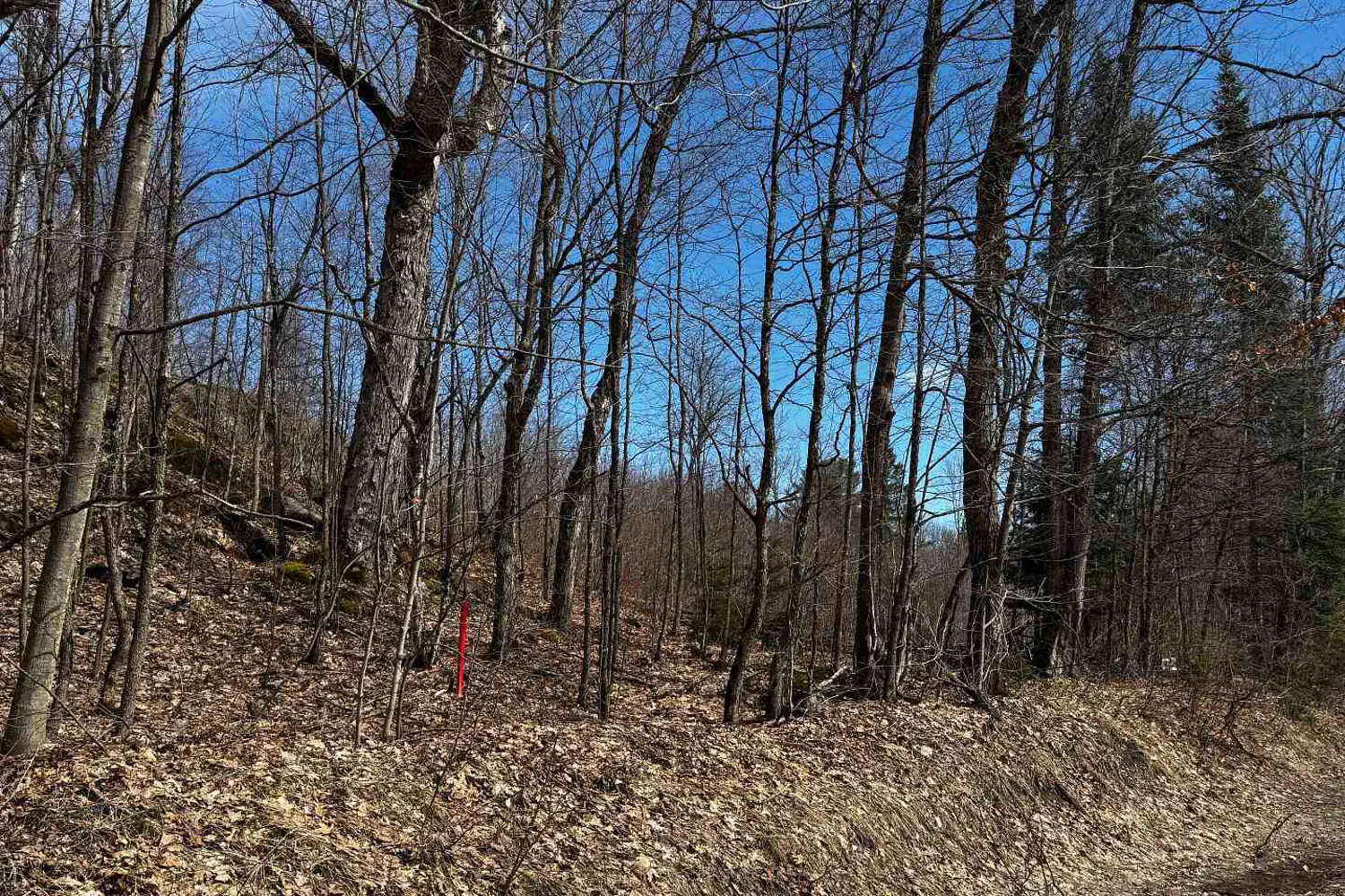 Additional image 17 of Lot 2 Lorimer Lake Road
