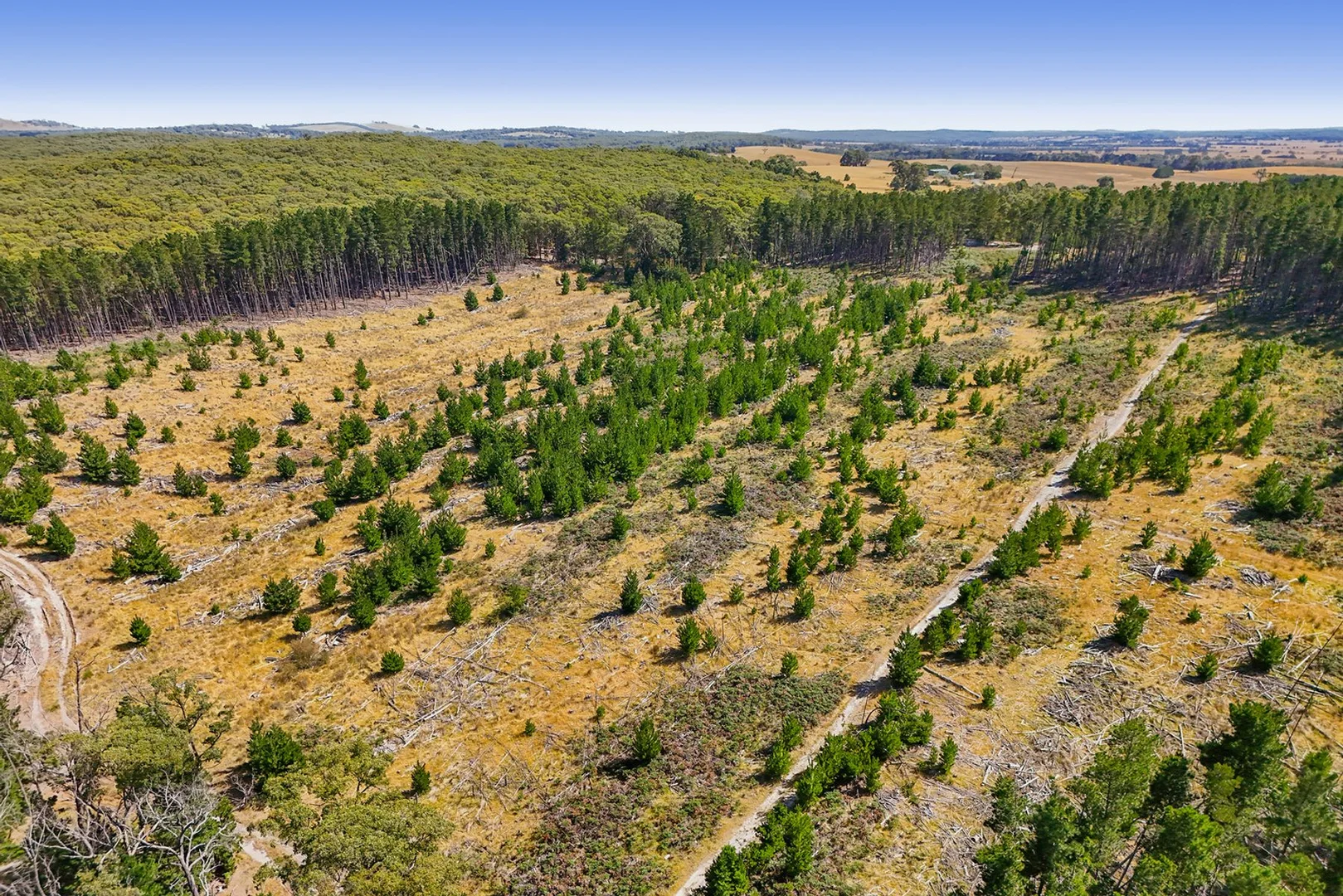 Additional image 9 of Lot 1 Llandeilo Lane, Ballan VIC 3342