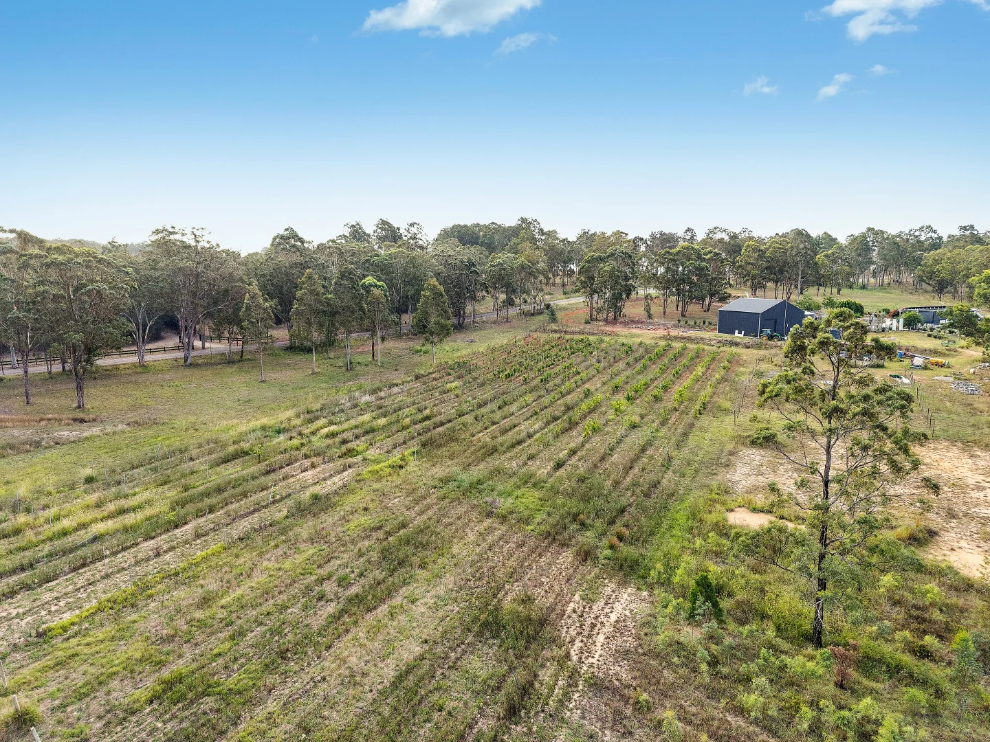 Additional image 4 of 696 Mcdonalds Road, Pokolbin NSW 2320