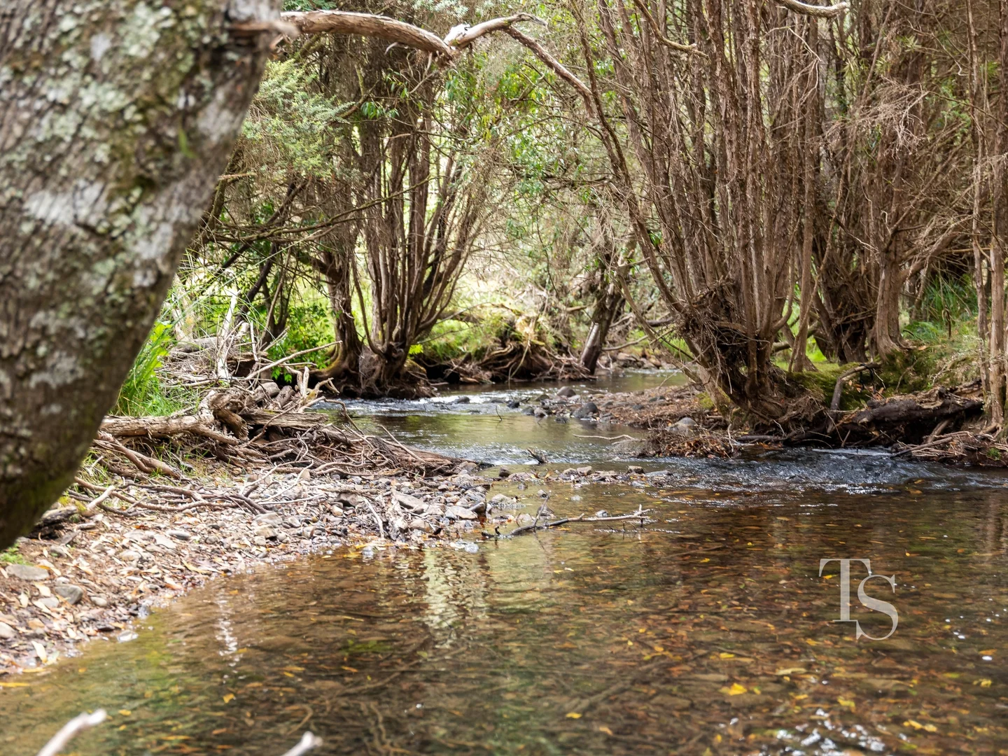 Additional image 21 of 429 Liena Road, Mole Creek TAS 7304