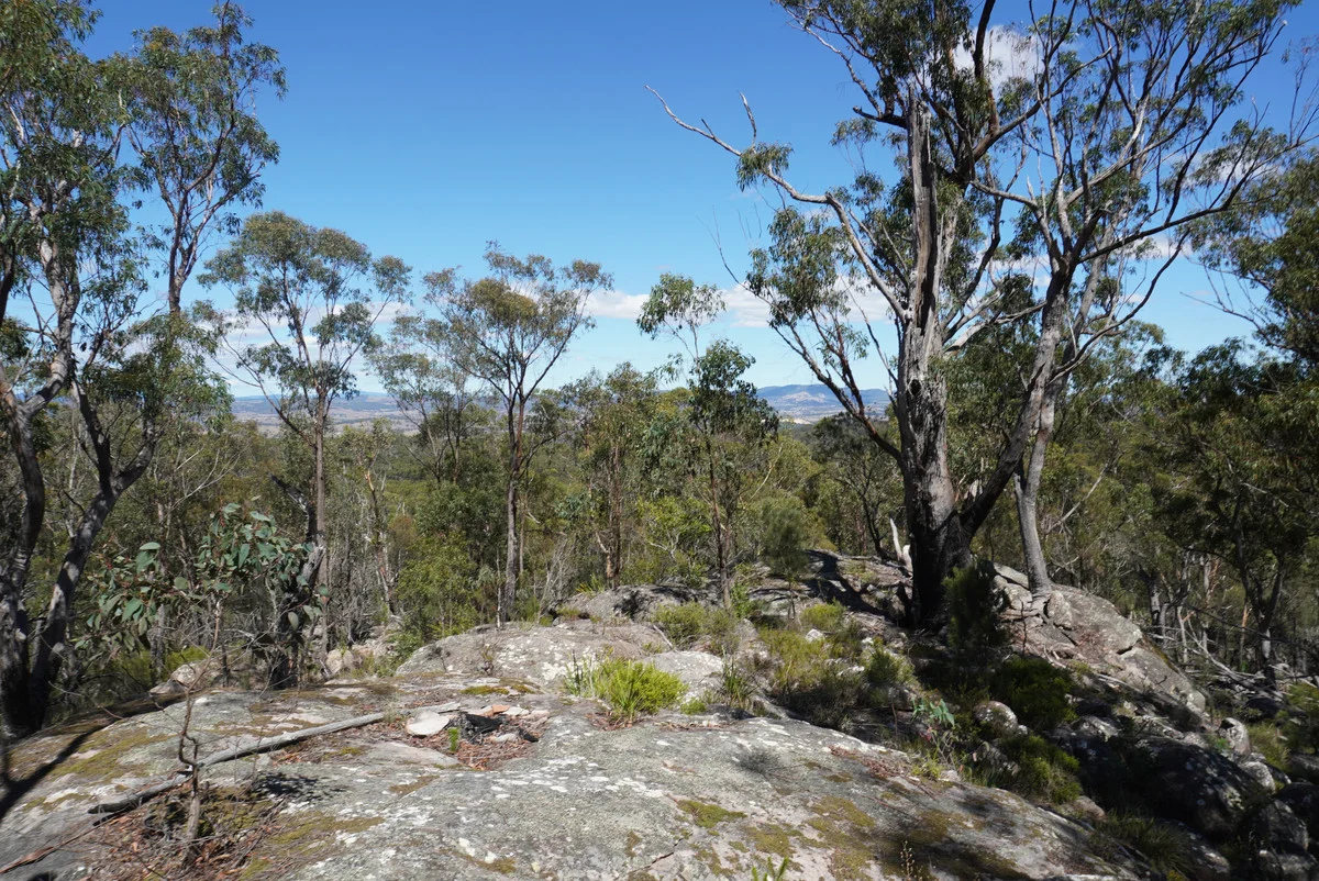 Additional image 42 of 1293 Mount Lindesay Road, Tenterfield NSW 2372