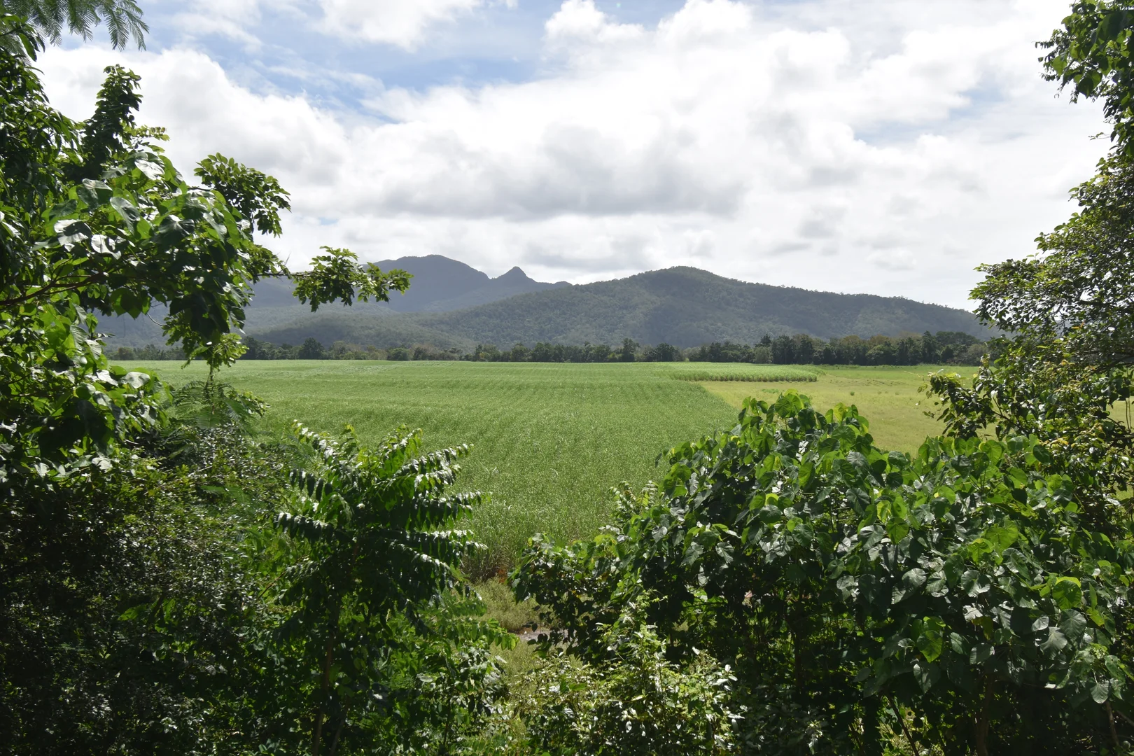 Additional image 18 of 962 Abergowrie Road, Trebonne QLD 4850