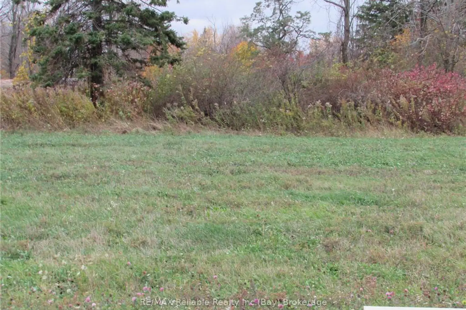 Additional image 2 of 2 Thimbleweed Drive