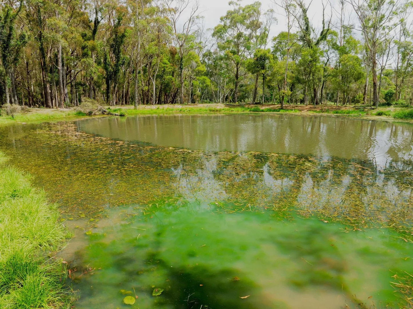 Additional image 14 of 1180 Sheepwash Road, Fitzroy Falls NSW 2577