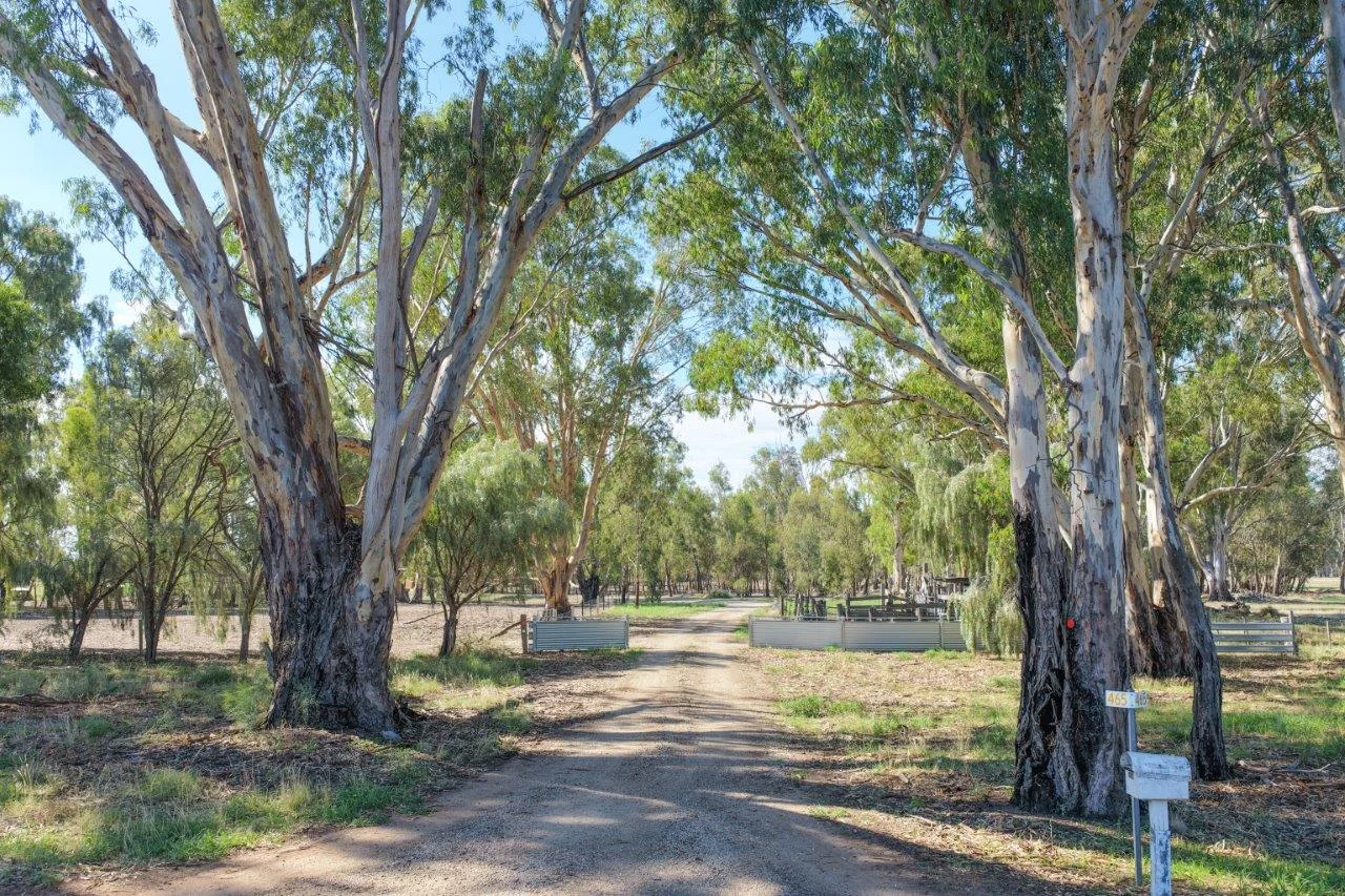 465 East Barham Road, Barham NSW 2732