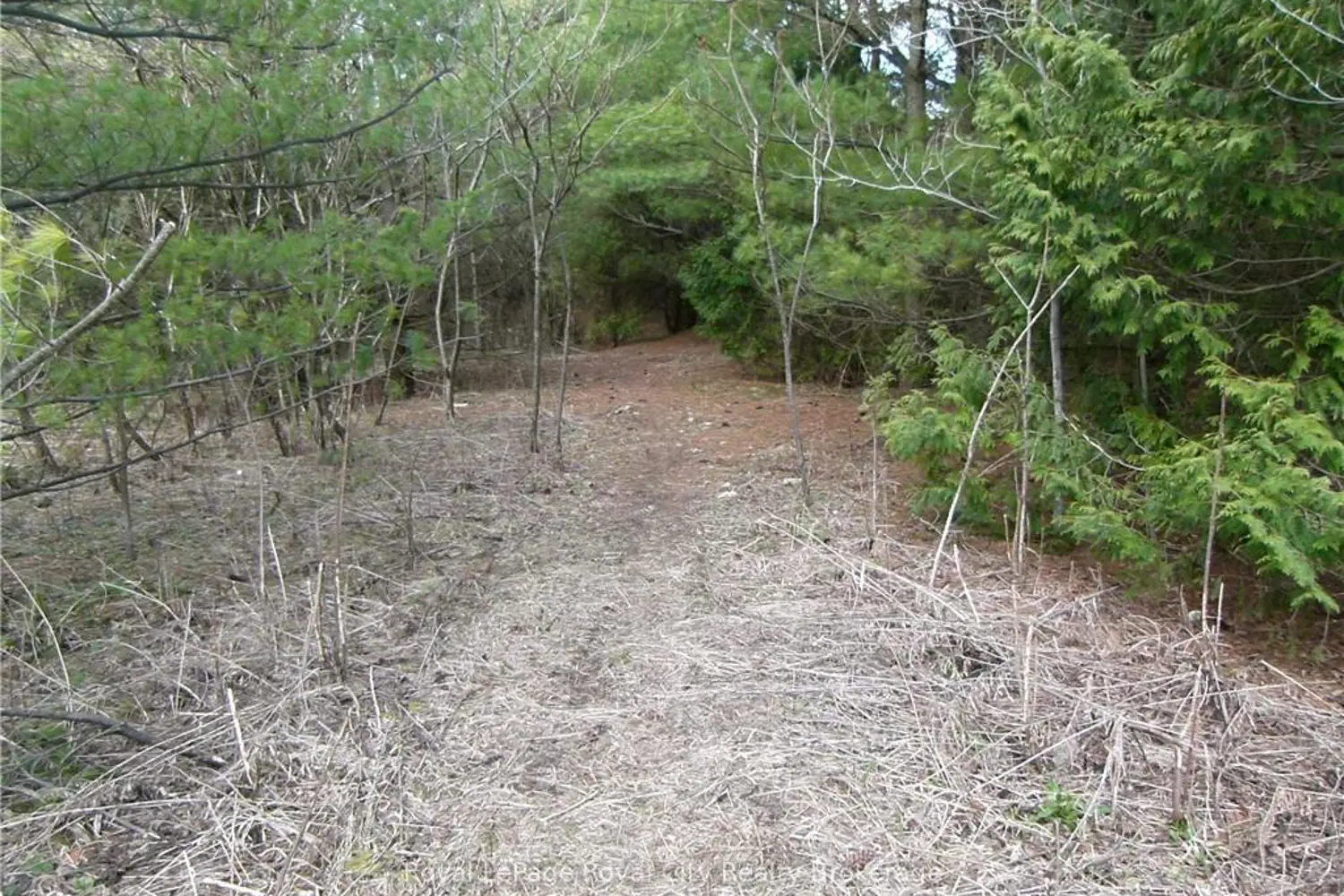 8256 Highway 7 photo 2