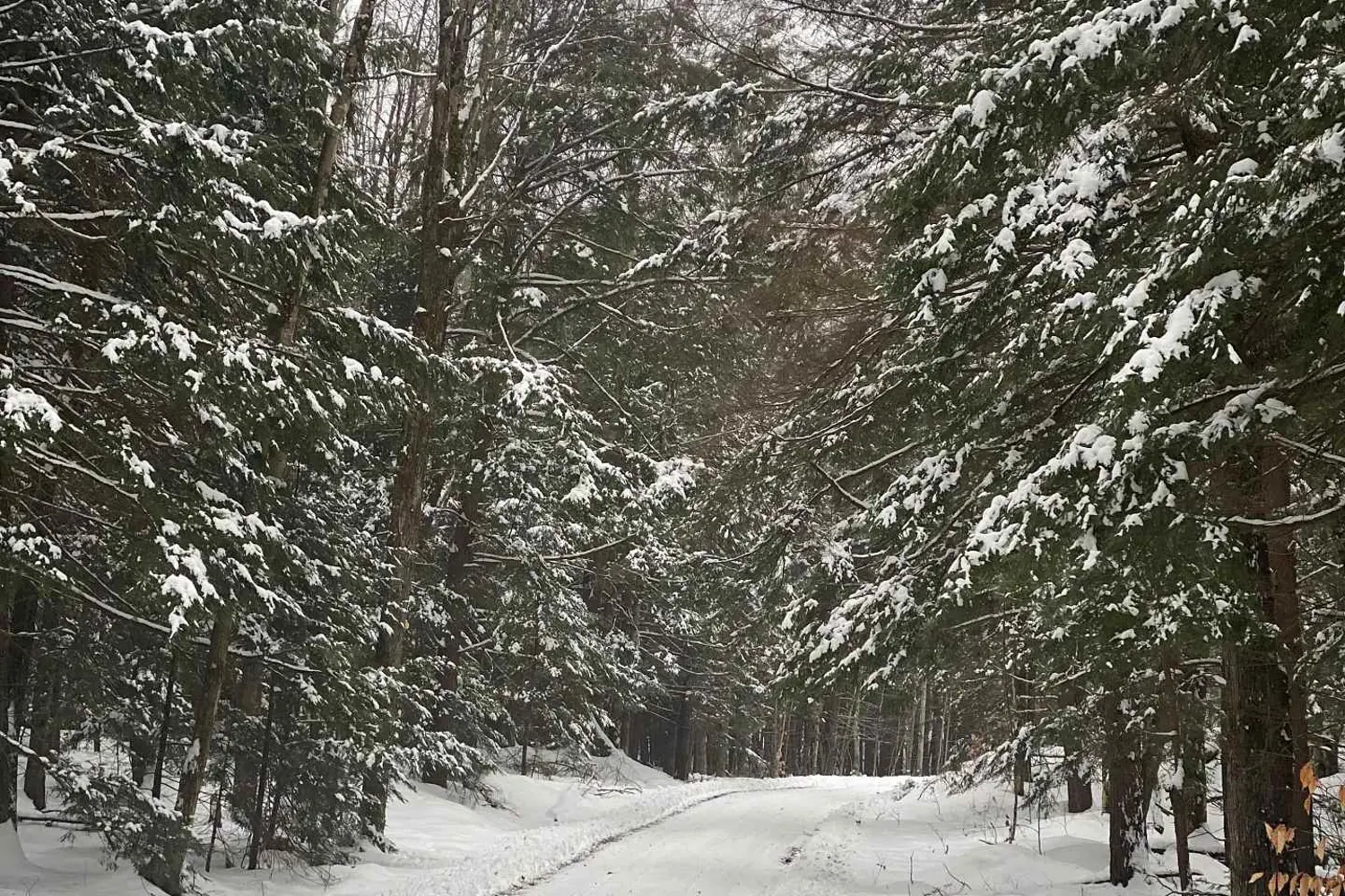 Additional image 7 of 9 Woods Bay Road